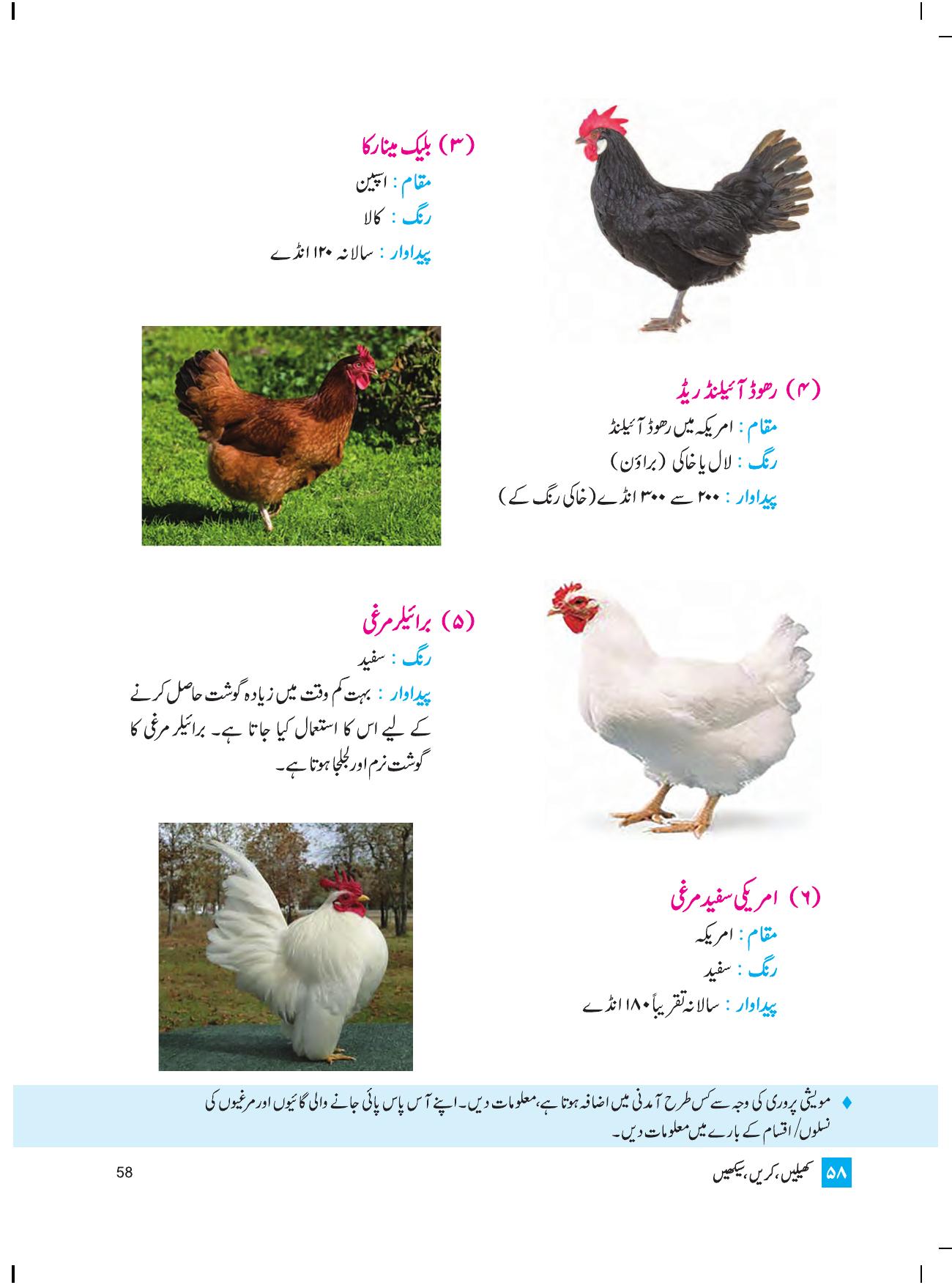 Maharashtra Board Class 4 Play Do Learn (Urdu Medium) Textbook - Page 67