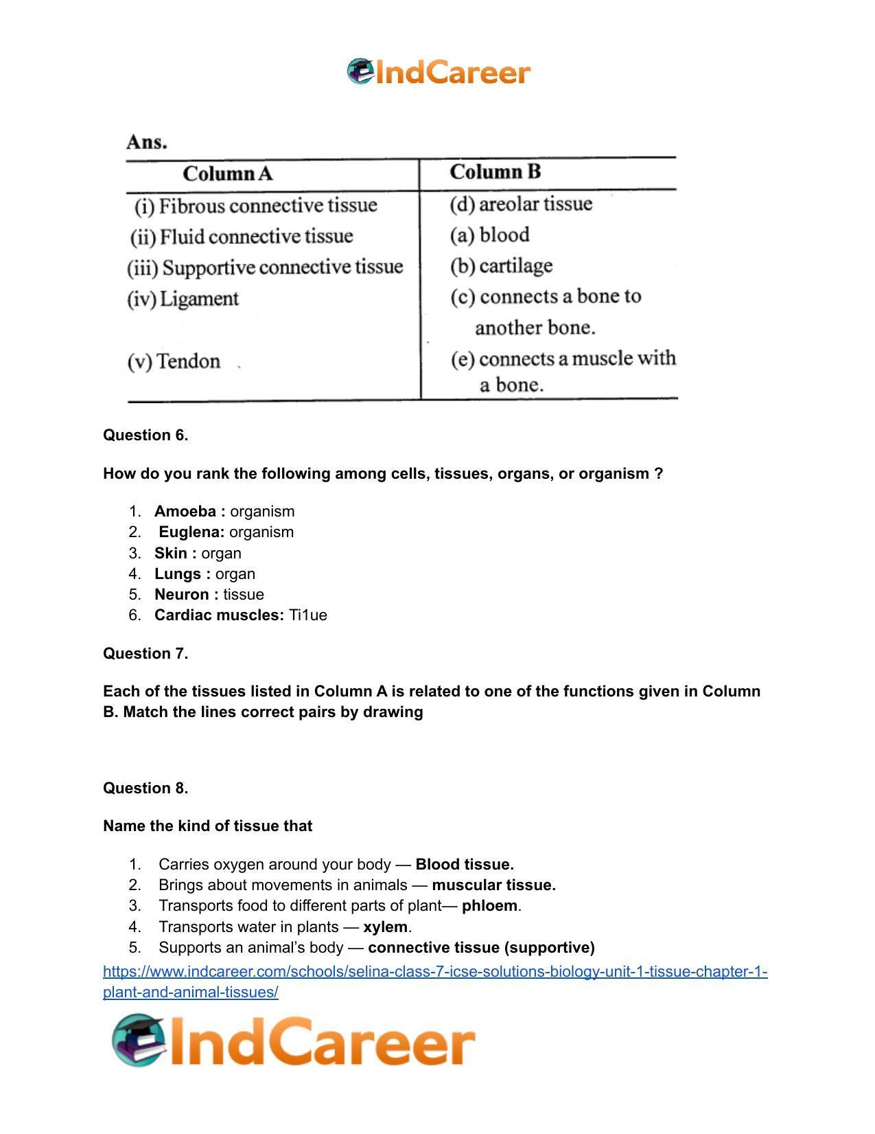 Selina Class 7 ICSE Solutions Biology (Unit 1) - Tissue: Chapter 1- Plant And Animal Tissues - Page 7