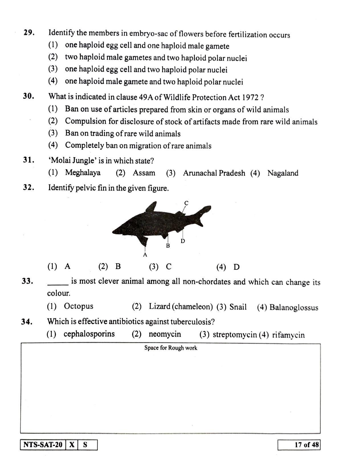 Maharashtra NTSE 2021 Hindi SAT Question Paper - Page 17