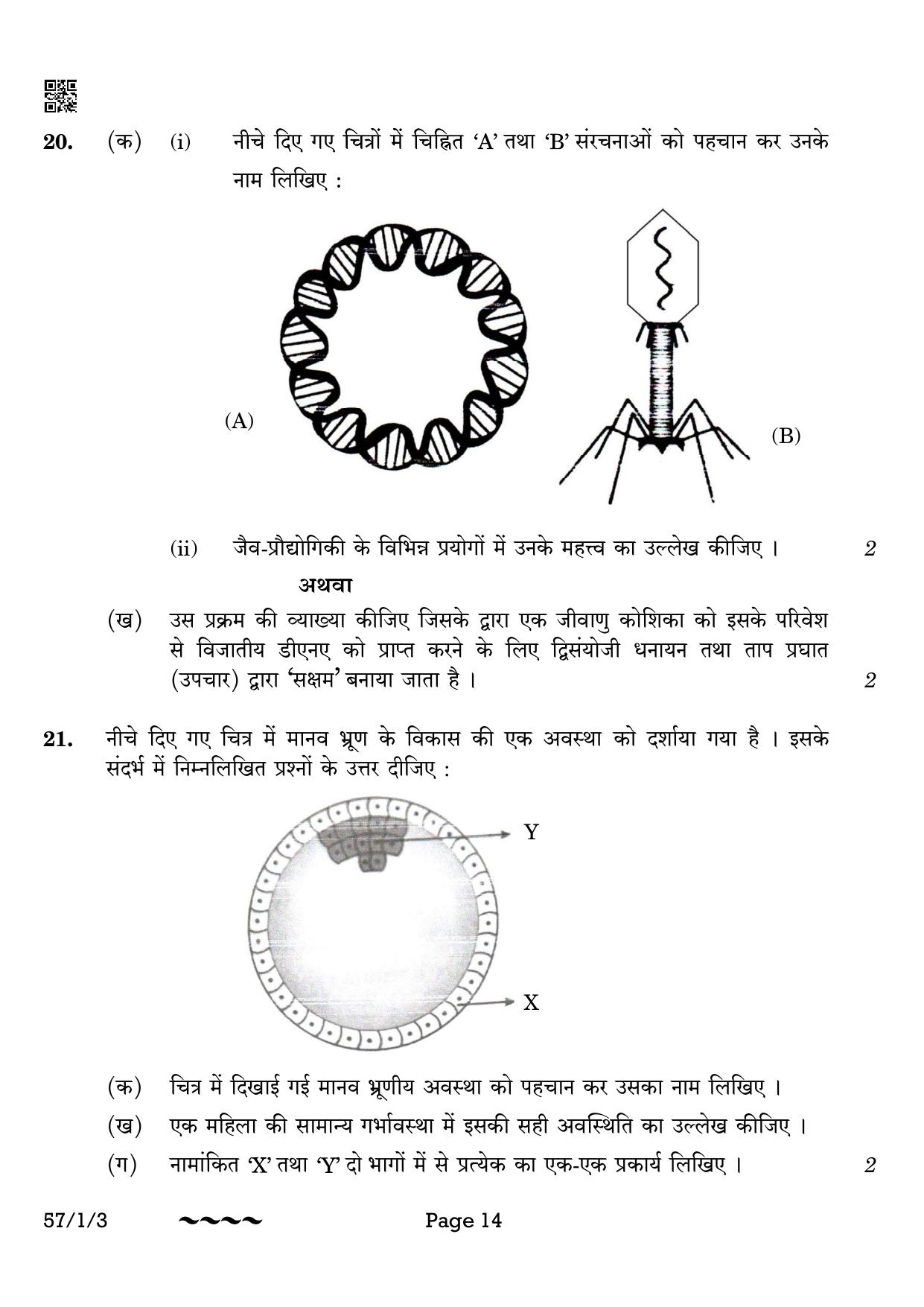 CBSE Class 12 57-1-3 Biology 2023 Question Paper - Page 14