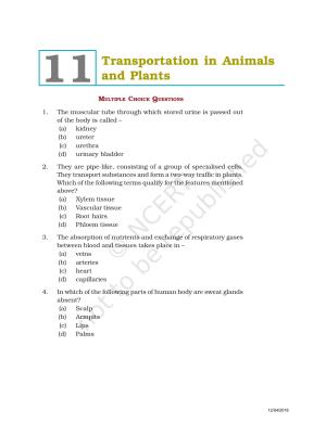NCERT Exemplar Book for Class 7 Science: Chapter 11-Transportation in Animals and Plants