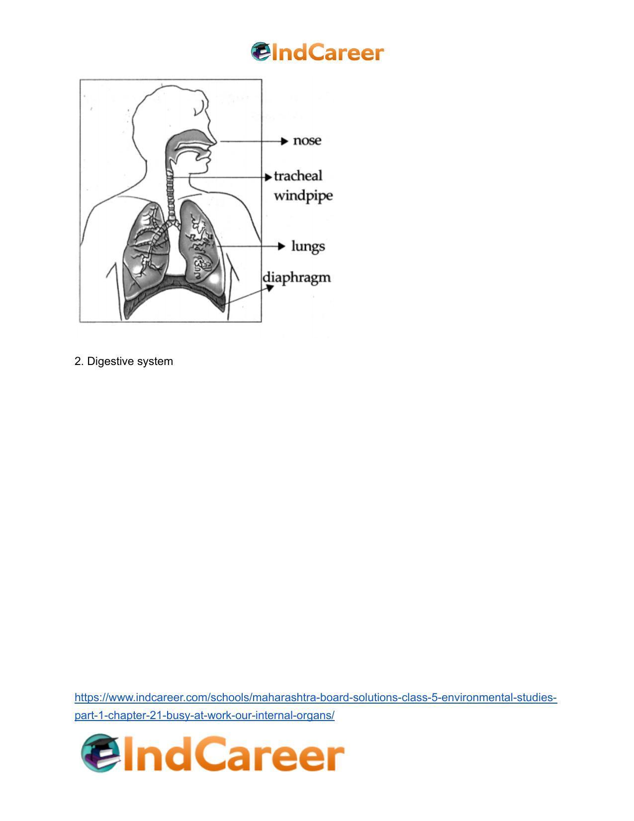 Maharashtra Board Solutions Class 5-Environmental Studies (Part 1): Chapter 21- Busy at Work - Our Internal Organs - Page 20