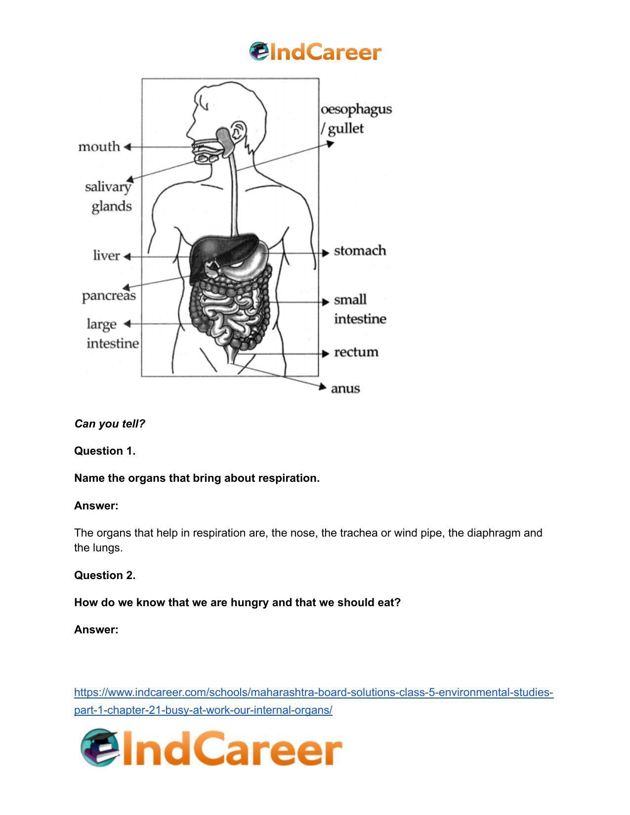 Maharashtra Board Solutions Class 5-Environmental Studies (Part 1): Chapter 21- Busy at Work - Our Internal Organs - Page 21