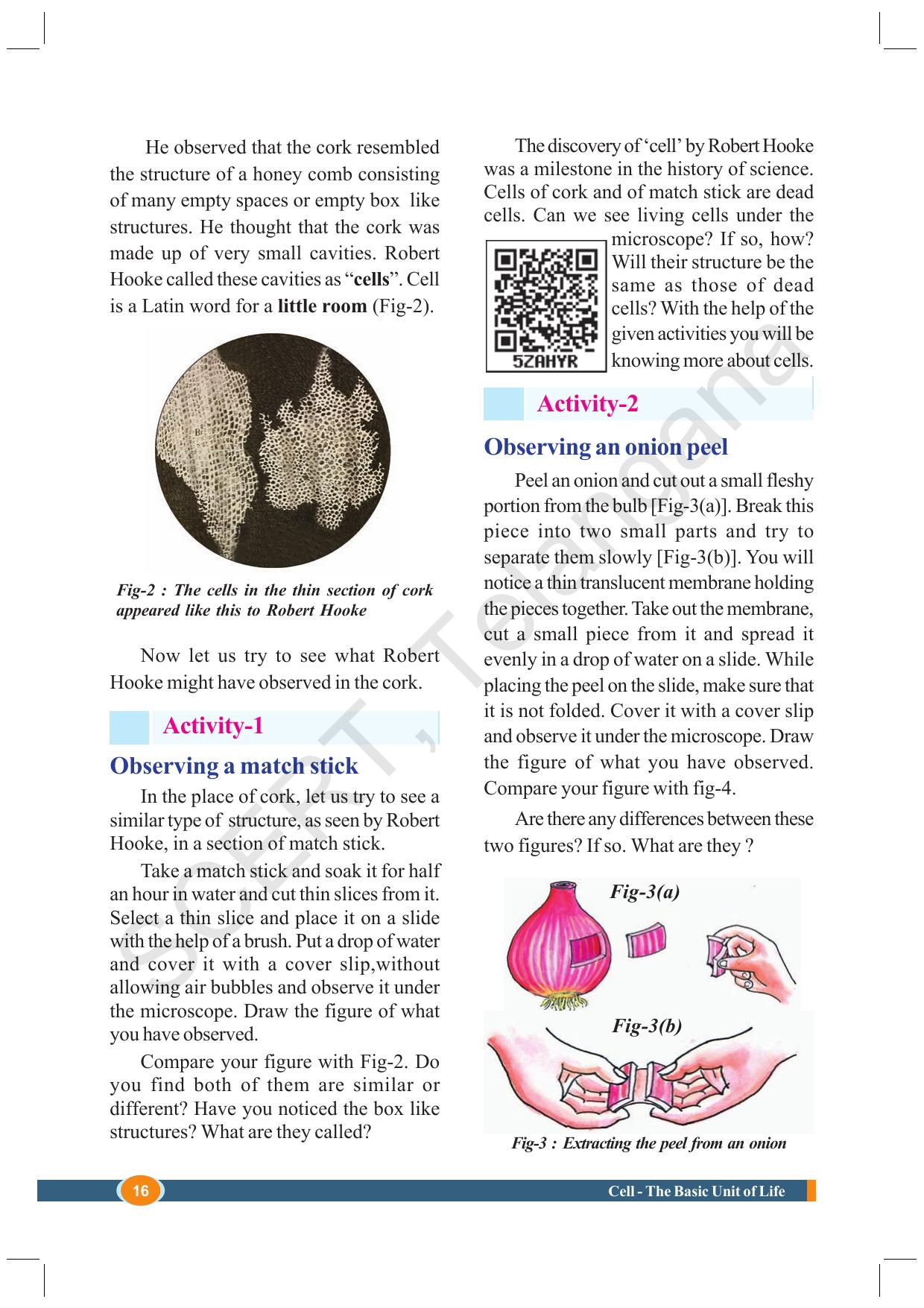 TS SCERT Class 8 Biological Science (English Medium) Text Book - Page 28