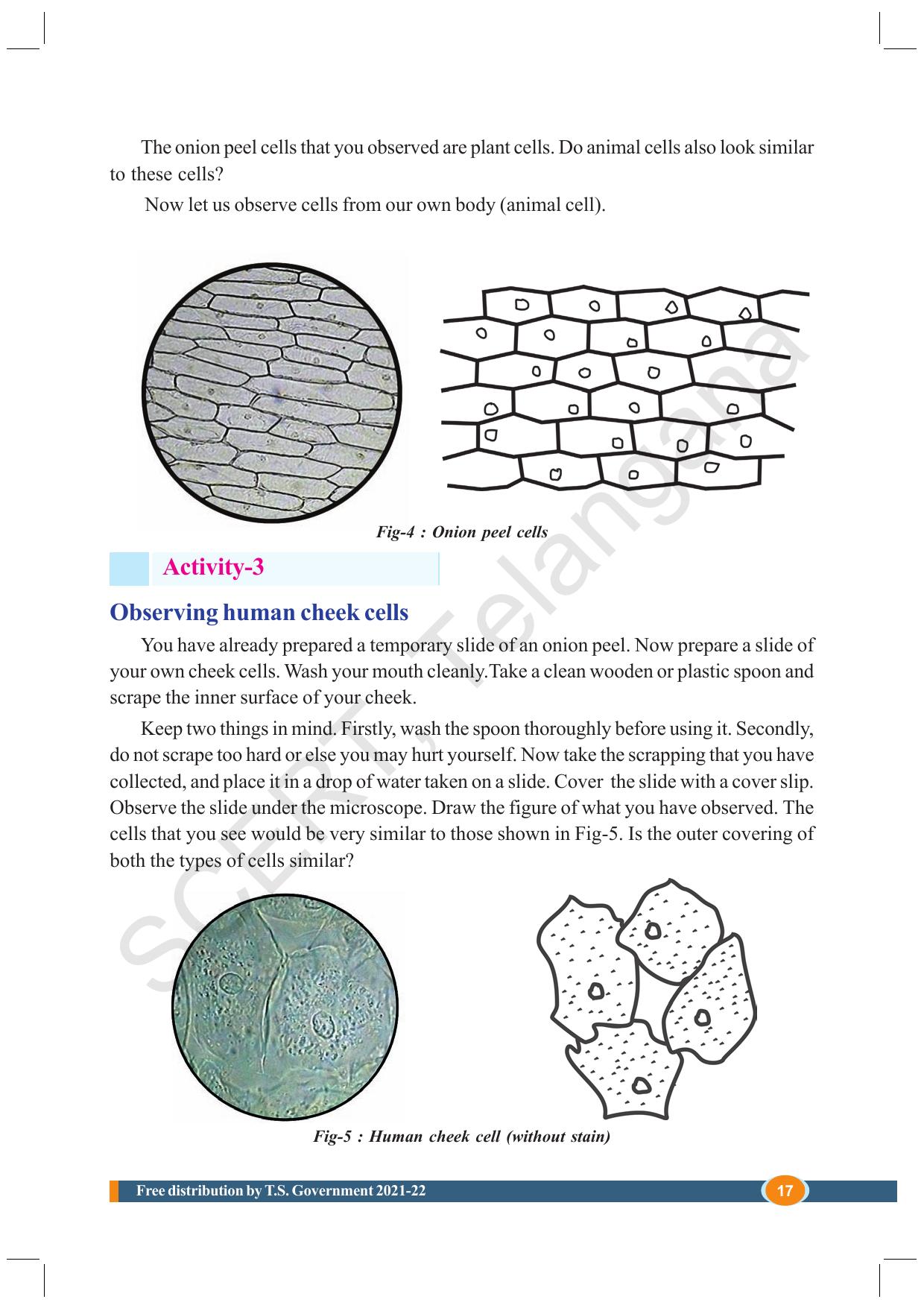 TS SCERT Class 8 Biological Science (English Medium) Text Book - Page 29