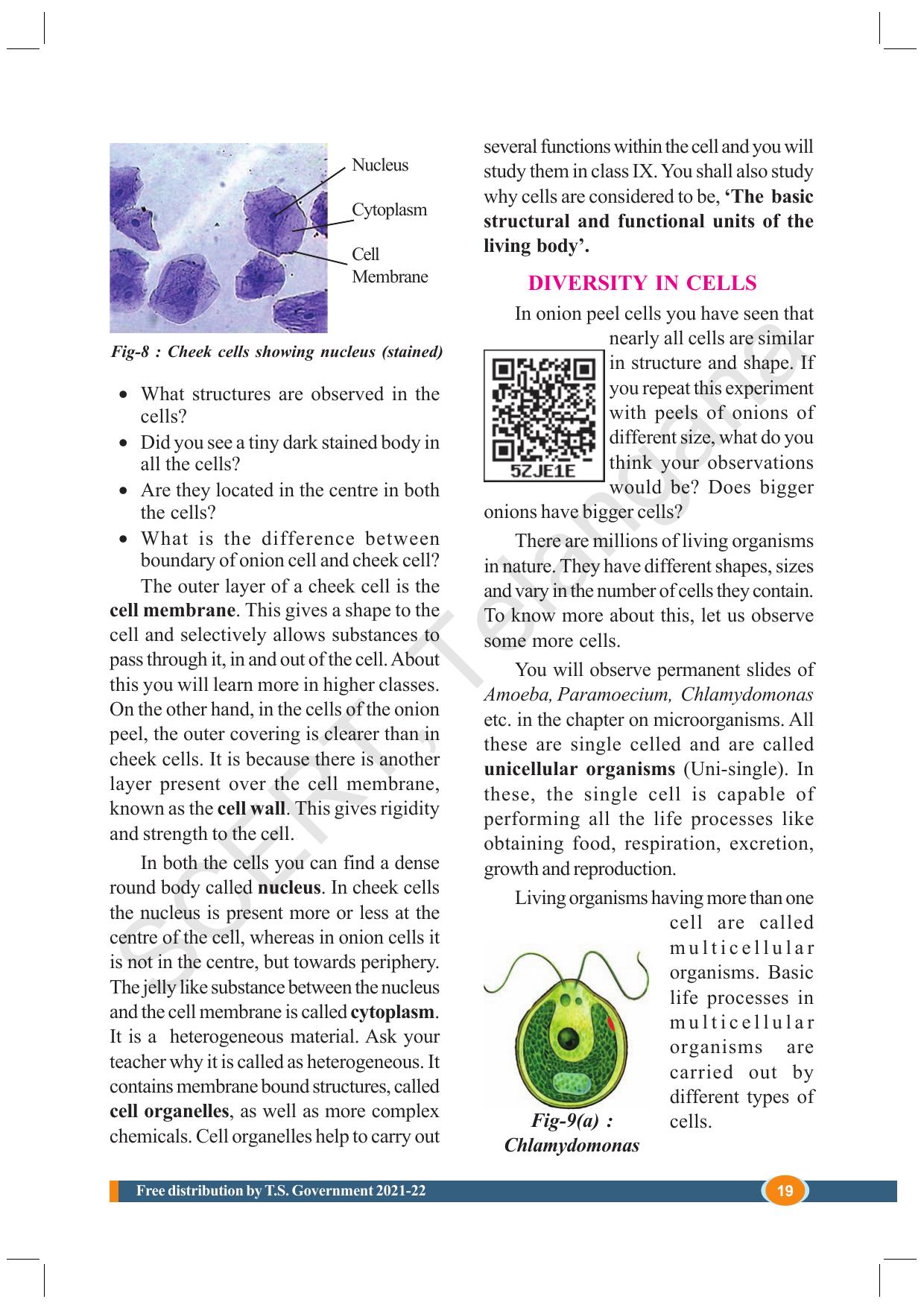TS SCERT Class 8 Biological Science (English Medium) Text Book - Page 31