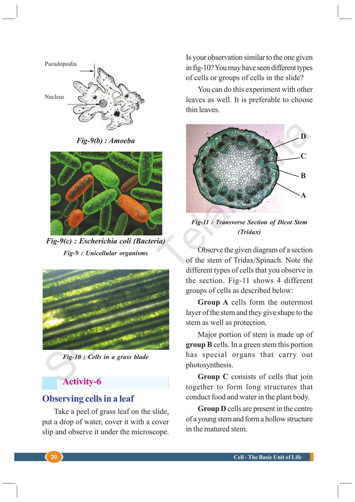 TS SCERT Class 8 Biological Science (English Medium) Text Book - Page 32