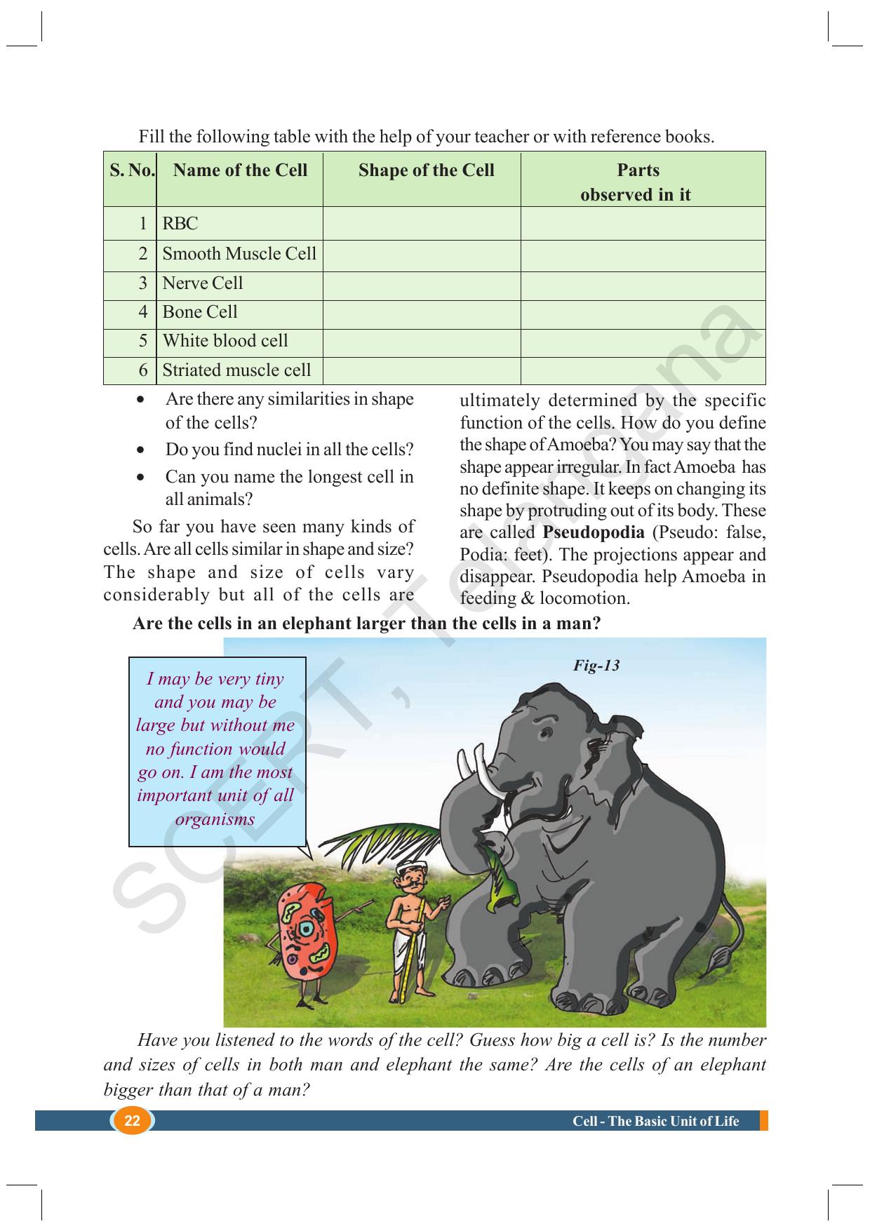 TS SCERT Class 8 Biological Science (English Medium) Text Book - Page 34