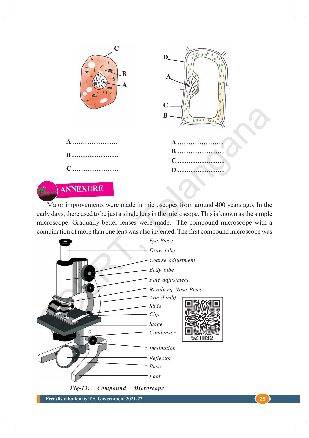 TS SCERT Class 8 Biological Science (English Medium) Text Book - Page 37