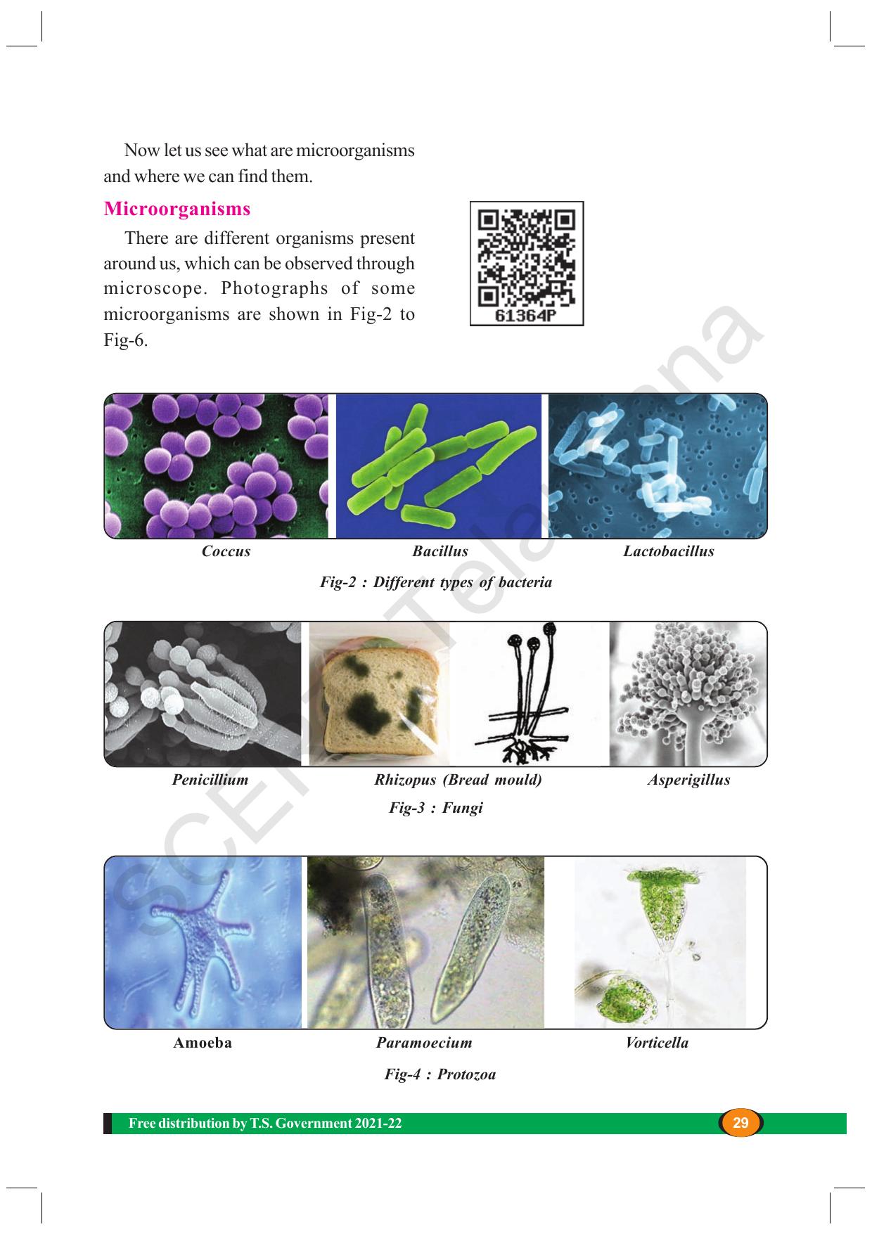 TS SCERT Class 8 Biological Science (English Medium) Text Book - Page 41