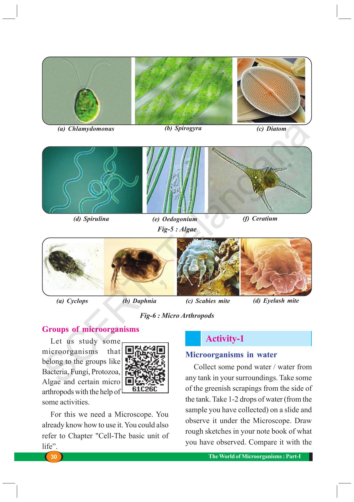 TS SCERT Class 8 Biological Science (English Medium) Text Book - Page 42