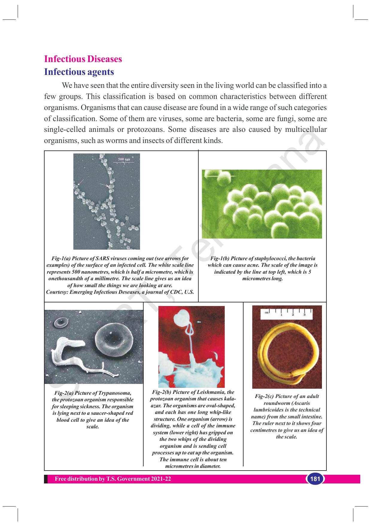 TS SCERT Class 8 Biological Science (English Medium) Text Book - Page 69