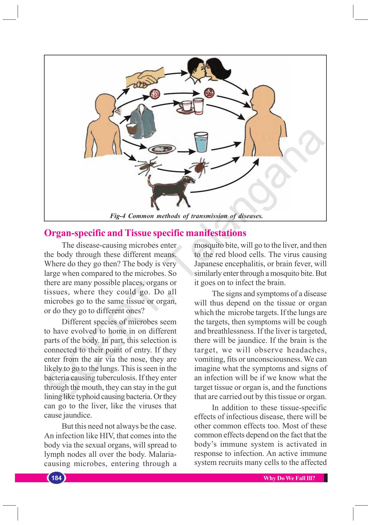 TS SCERT Class 8 Biological Science (English Medium) Text Book - Page 72