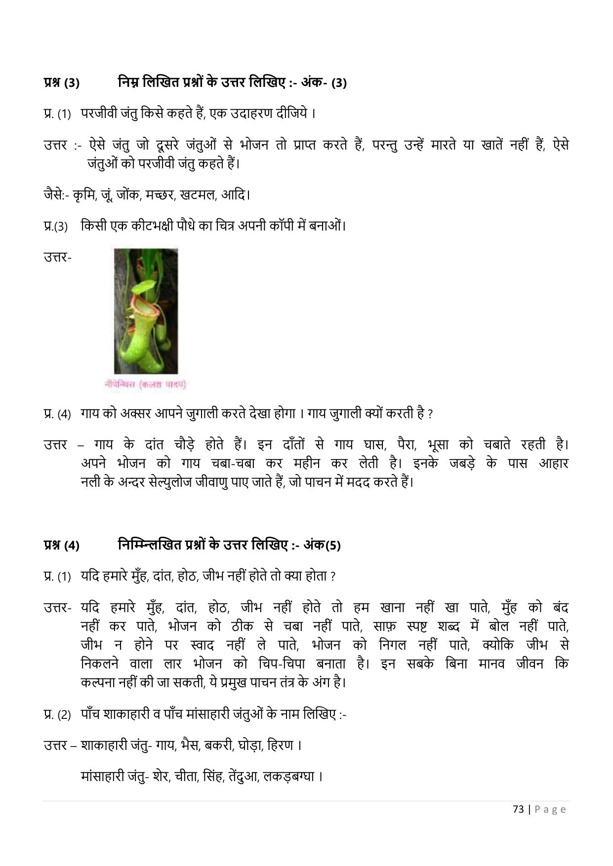 Chhattisgarh Board Class 5 EVS Question Bank - Page 78