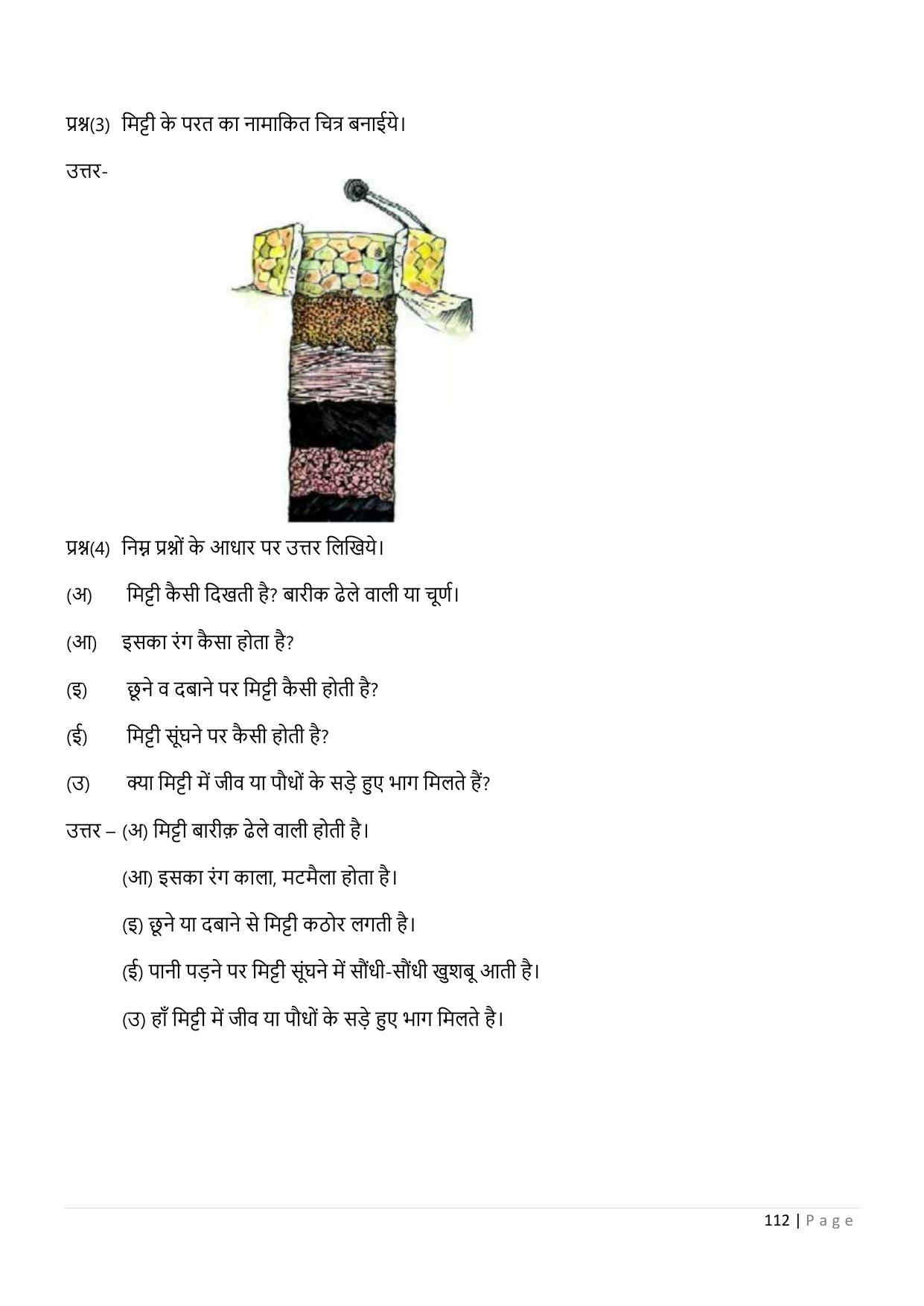 Chhattisgarh Board Class 5 EVS Question Bank - Page 117