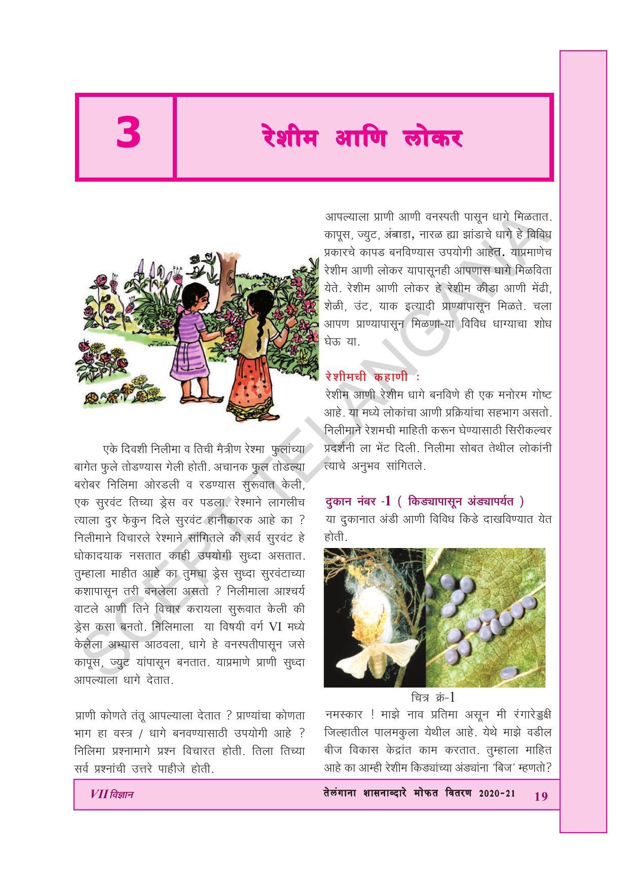 TS SCERT Class 7 General Science (Marathi Medium) Text Book - Page 33