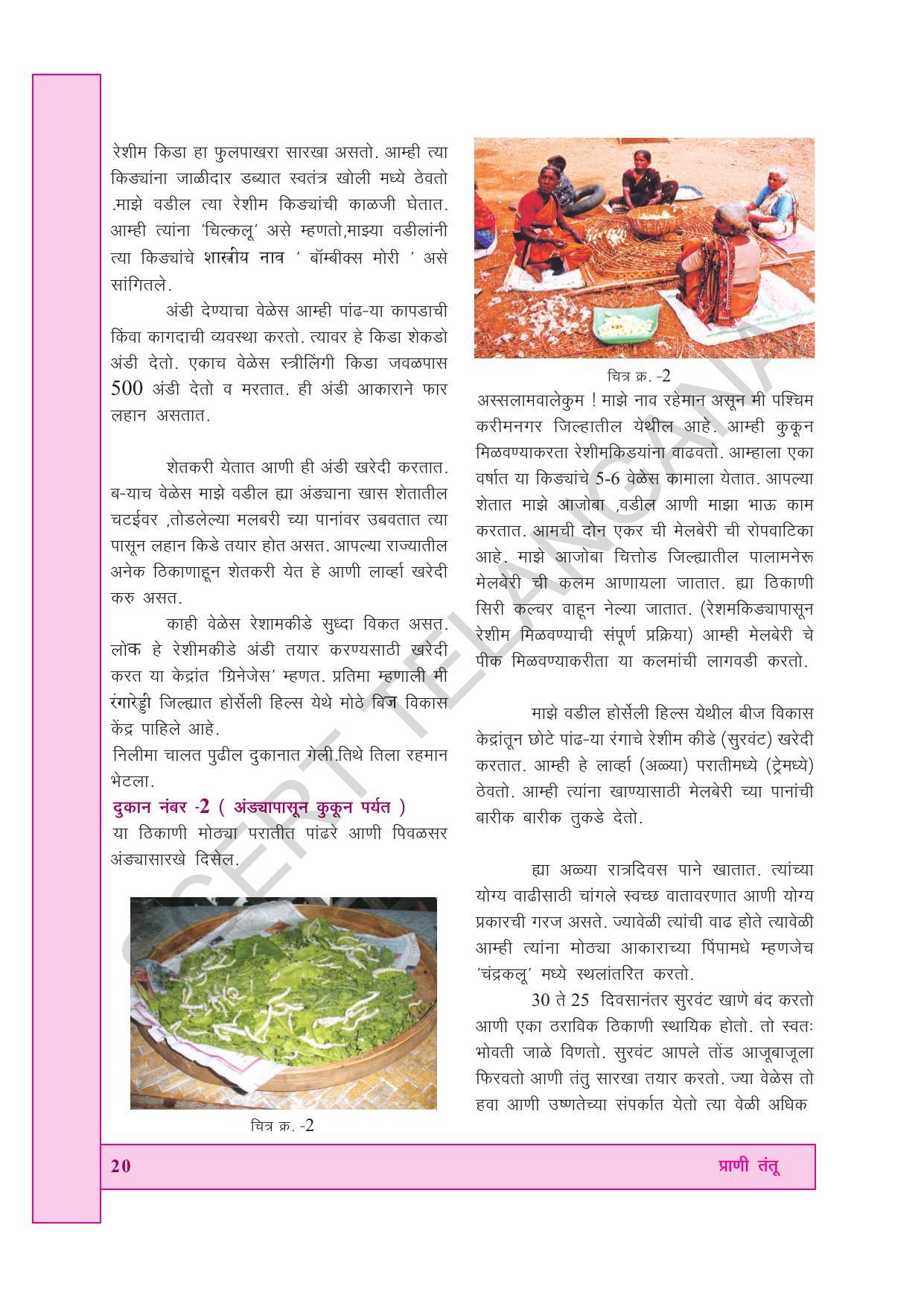 TS SCERT Class 7 General Science (Marathi Medium) Text Book - Page 34