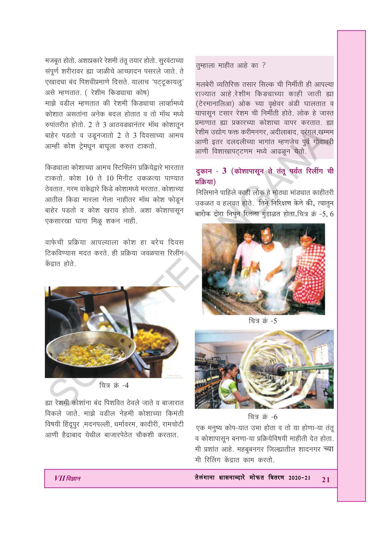 TS SCERT Class 7 General Science (Marathi Medium) Text Book - Page 35