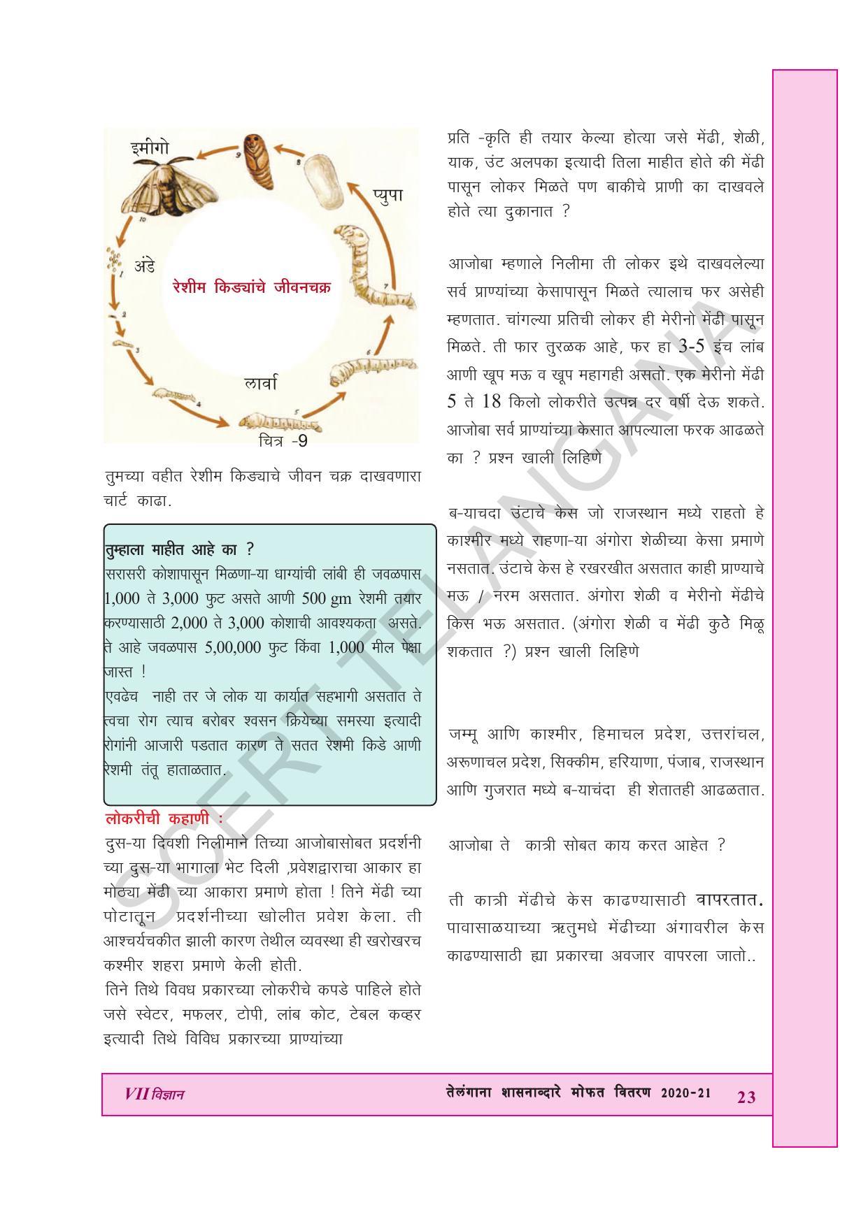 TS SCERT Class 7 General Science (Marathi Medium) Text Book - Page 37
