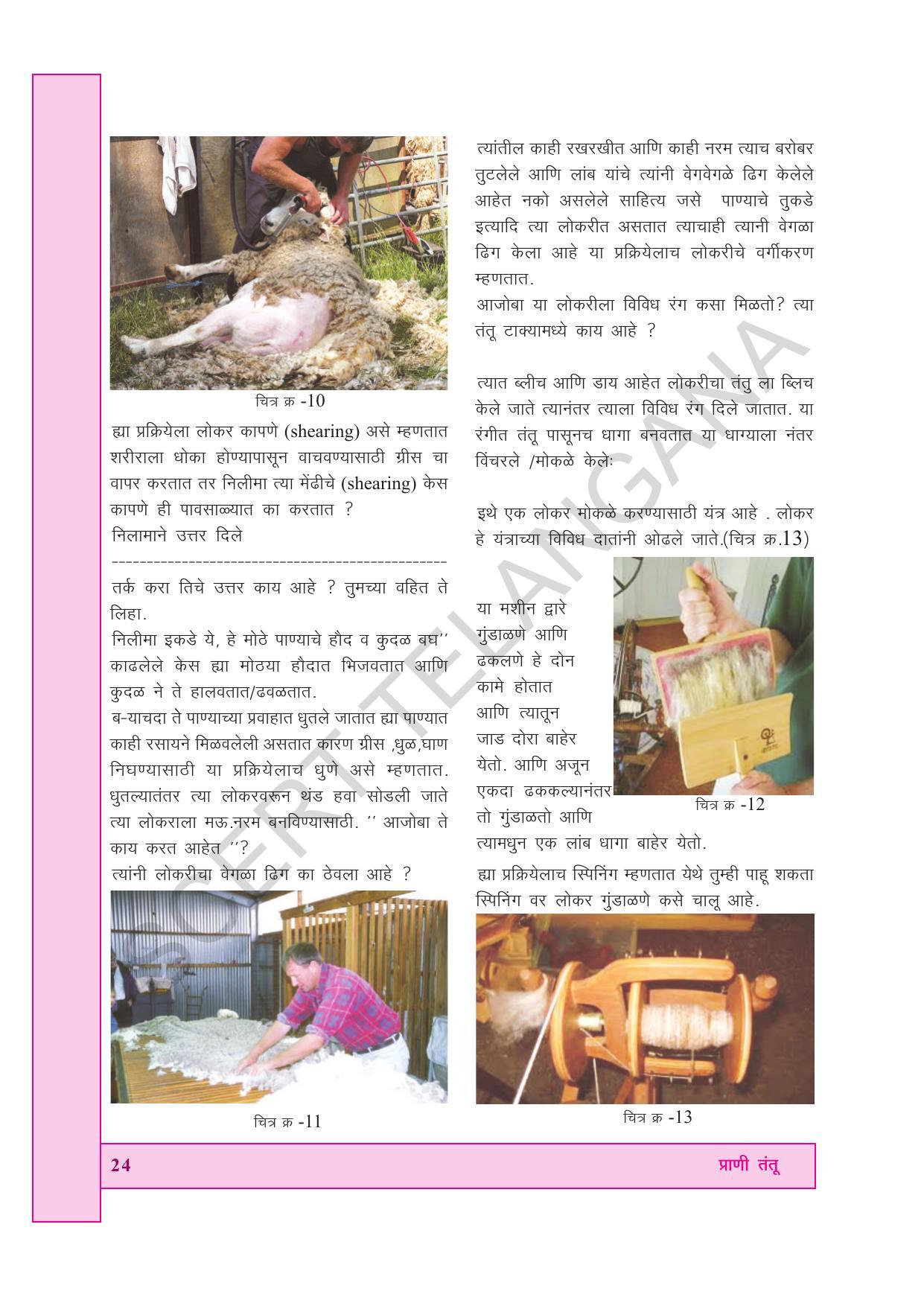 TS SCERT Class 7 General Science (Marathi Medium) Text Book - Page 38