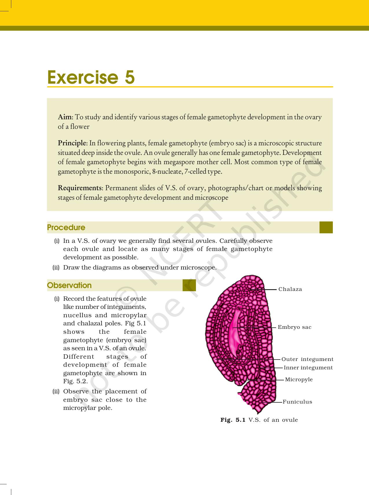 NCERT Laboratory Manuals for Class XII Biology - Exercise 4 & 5 - Page 3