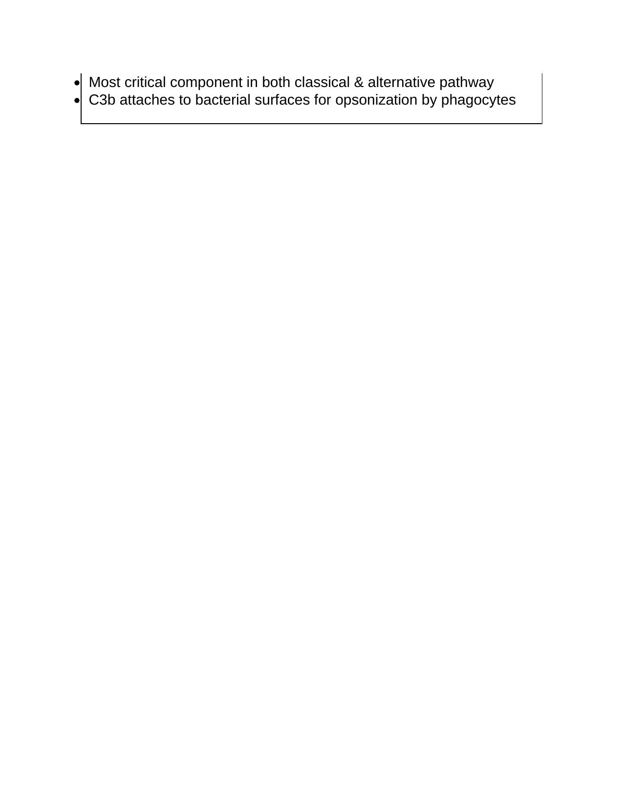 NEET PG 2018 Question Paper - Page 46