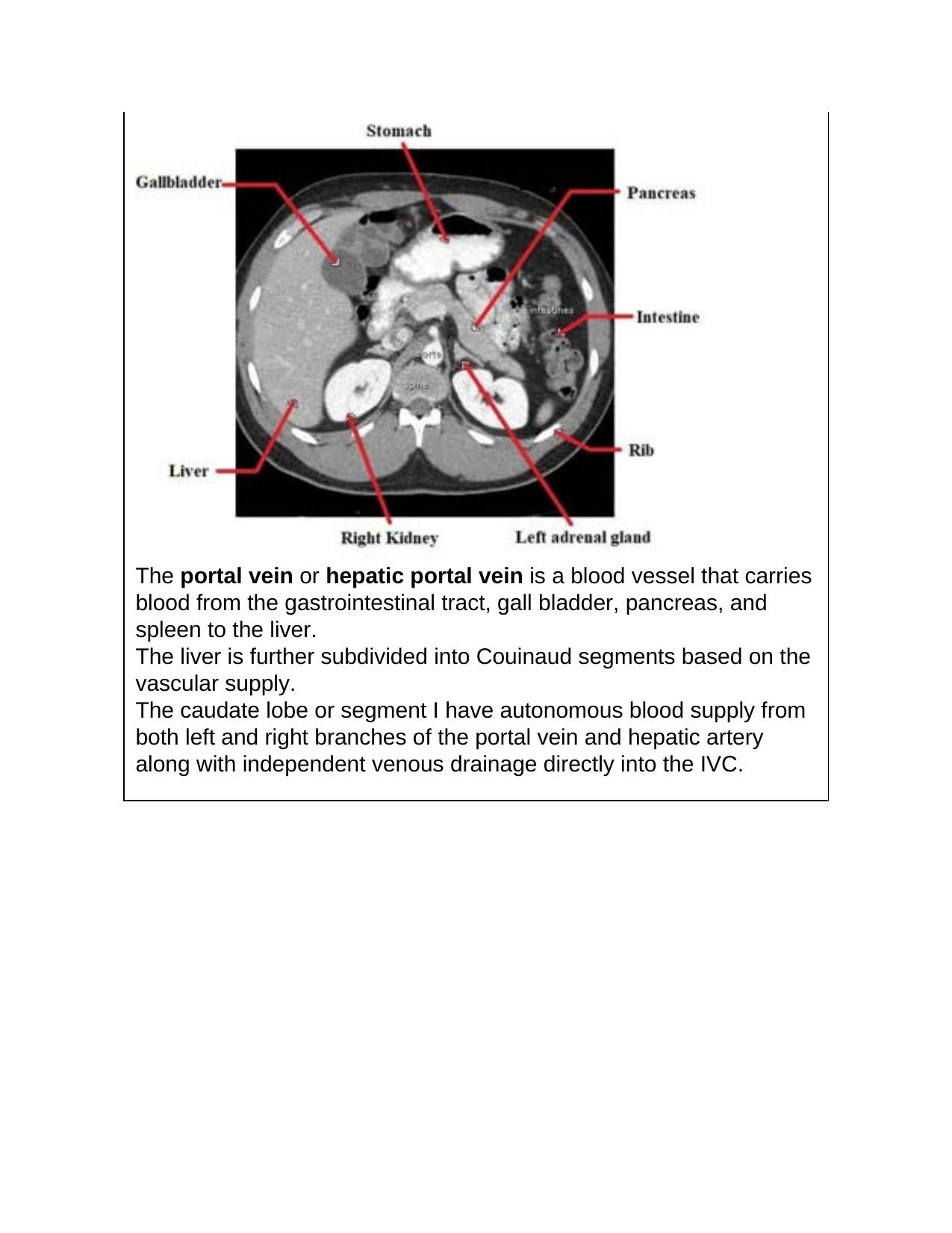 NEET PG 2018 Question Paper - Page 277