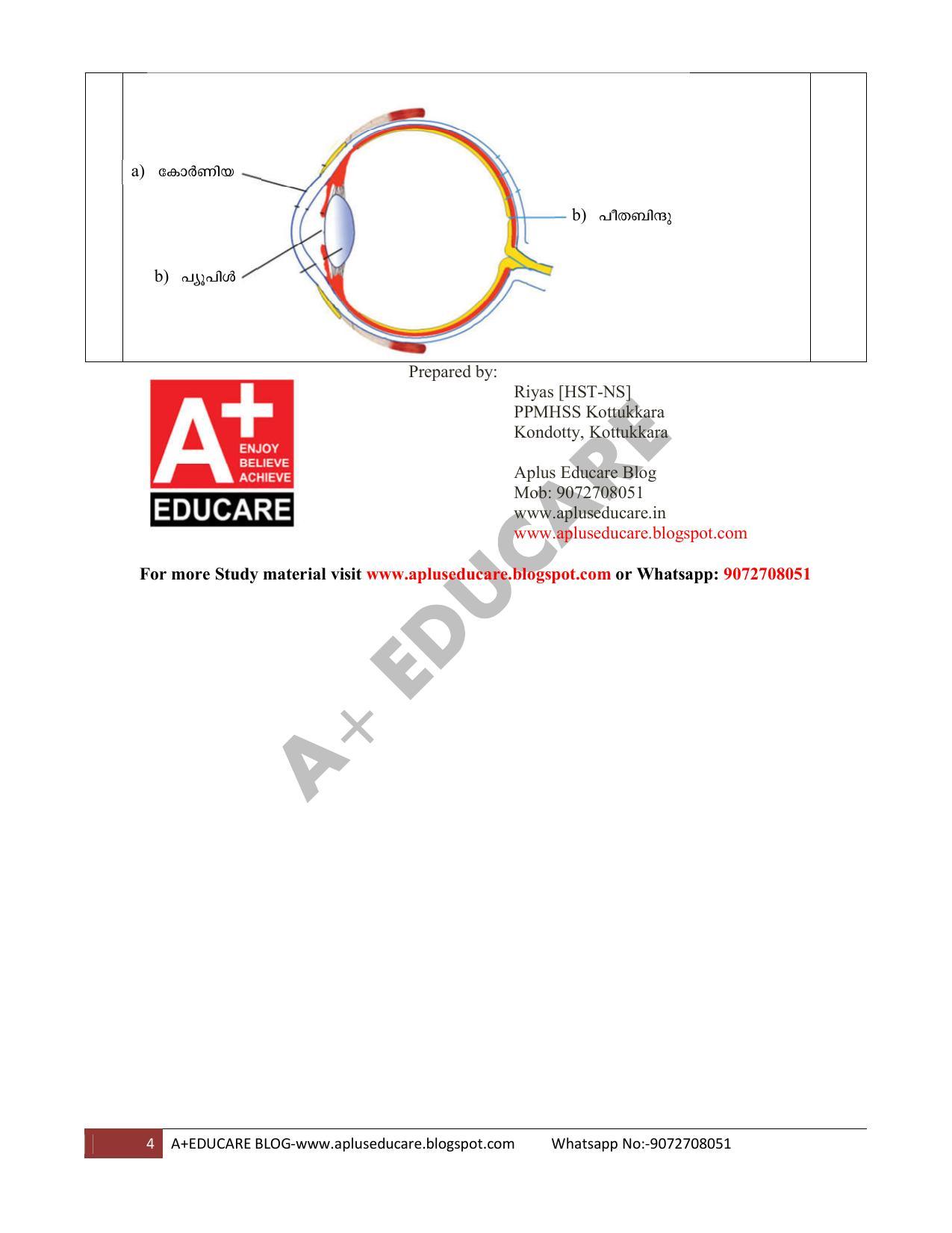 Kerala SSLC 2020 Biology Answer Key (MM) - Page 4