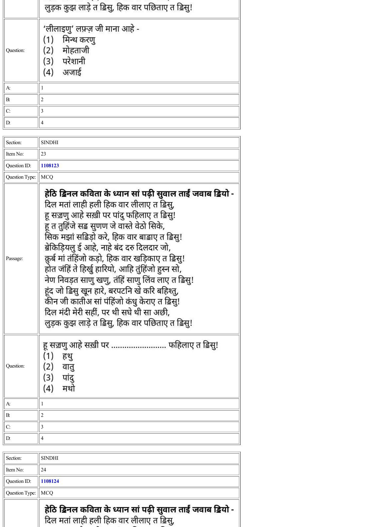 CUET 2022 Question Paper of Sindhi - Page 17