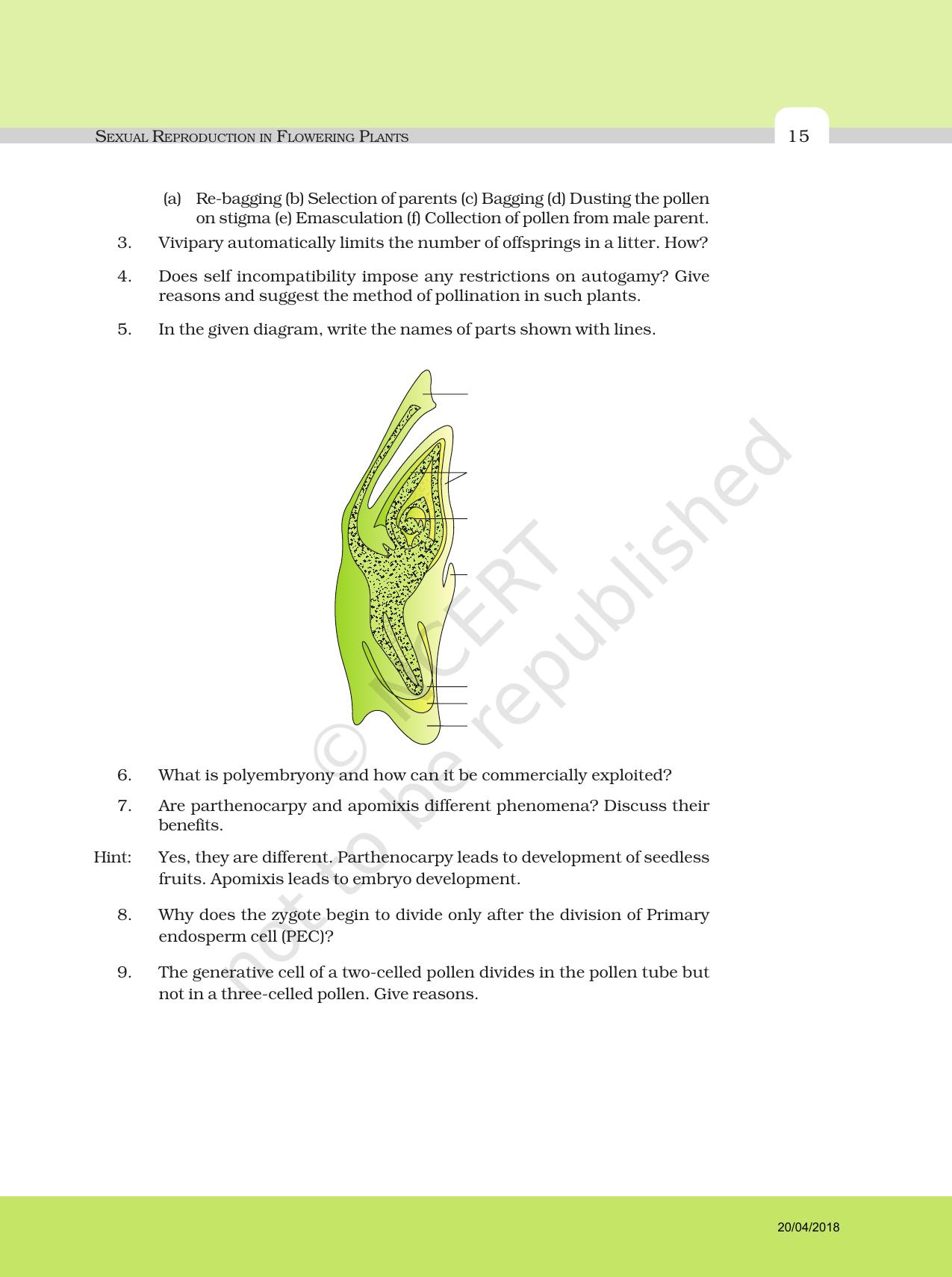 NCERT Exemplar Book for Class 12 Biology: Chapter 2 Sexual Reproduction in Flowering Plants - Page 7
