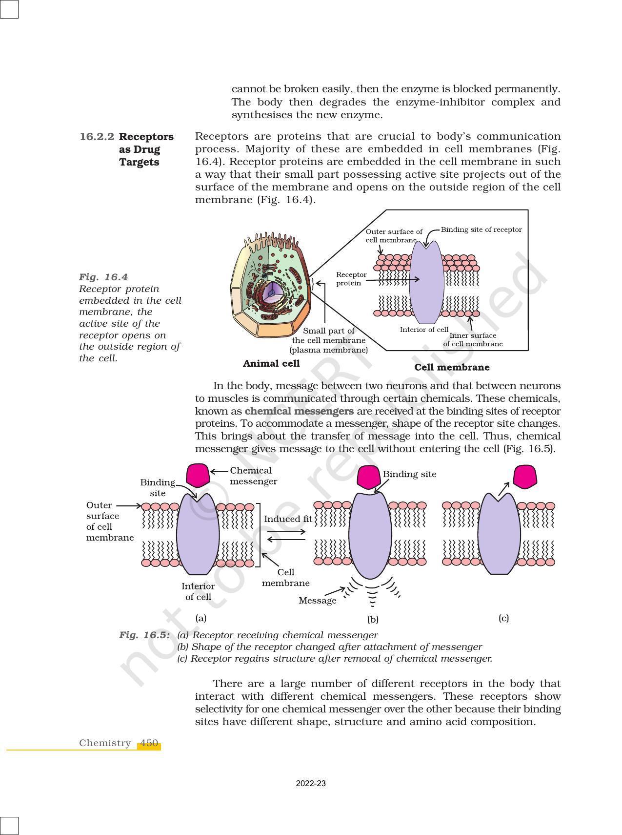 NCERT Book for Class 12 Chemistry Chapter 16 Chemistry in Everyday Life - Page 4