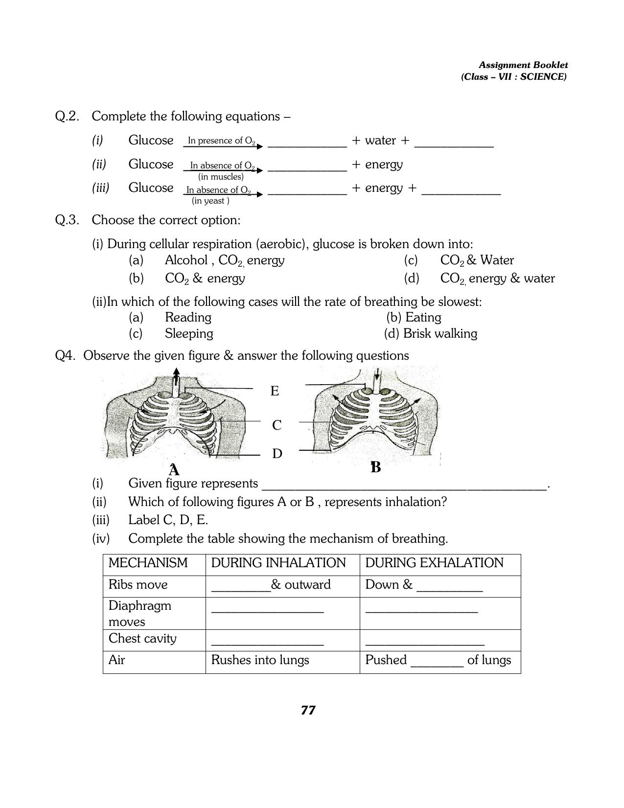 CBSE Worksheets for Class 7 Science All Chapters Assignment - Page 65