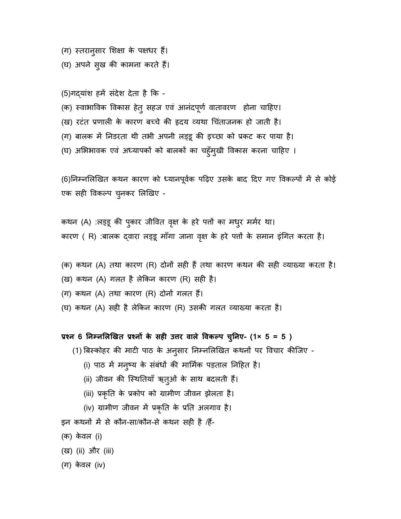 CBSE Class 12 Hindi Elective Sample Paper 2023 - Page 13