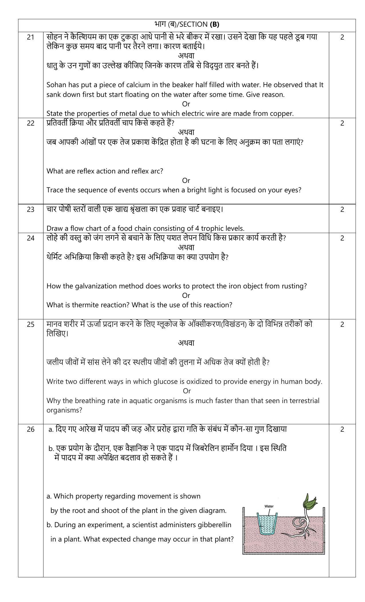 Edudel Class 10 Science Sample Question Paper - Page 10