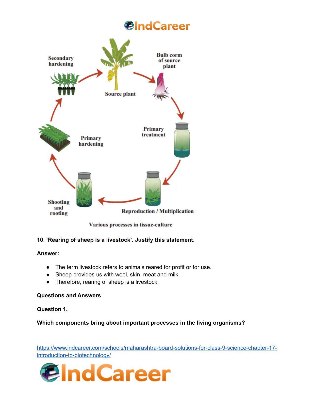 Maharashtra Board Solutions for Class 9- Science: Chapter 17- Introduction to Biotechnology - Page 11