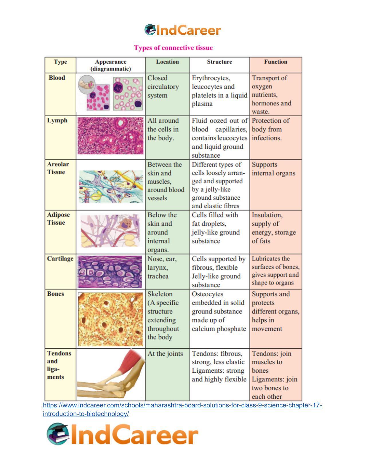 Maharashtra Board Solutions for Class 9- Science: Chapter 17- Introduction to Biotechnology - Page 45