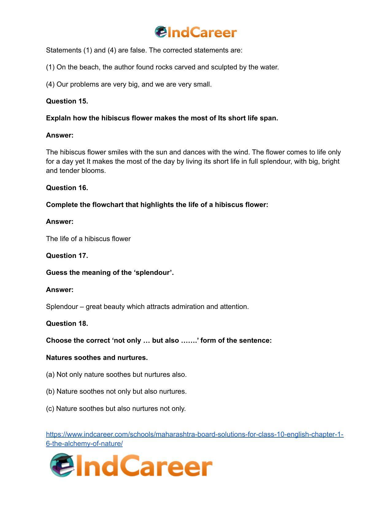Maharashtra Board Solutions for Class 10- English: Chapter 1.6- The Alchemy of Nature - Page 19