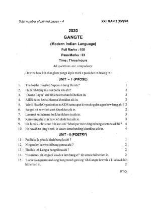 COHSEM Class 12 Gangte Question Papers 2020