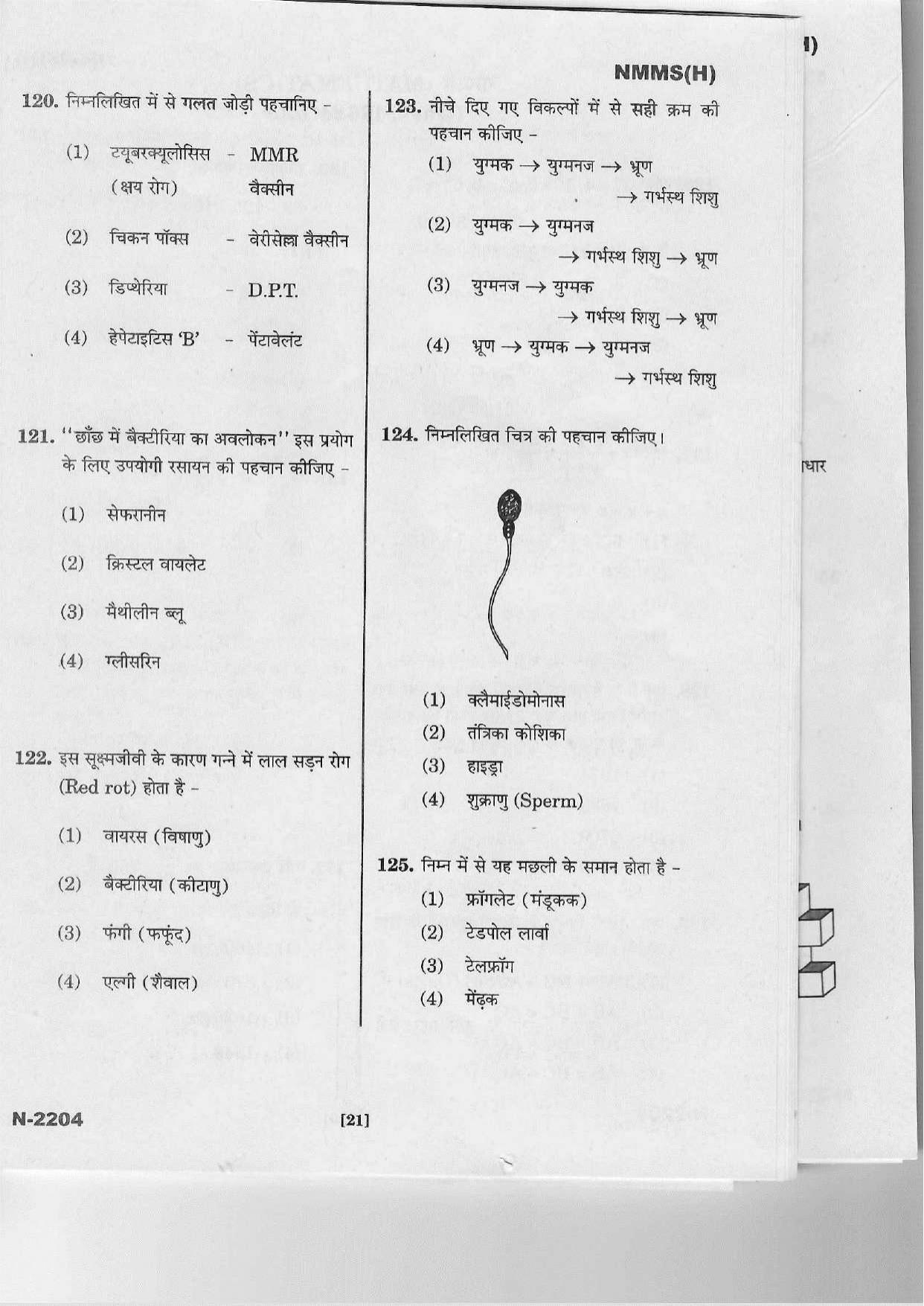 Telangana NMMS March 2022 Hindi Question Paper - Page 19