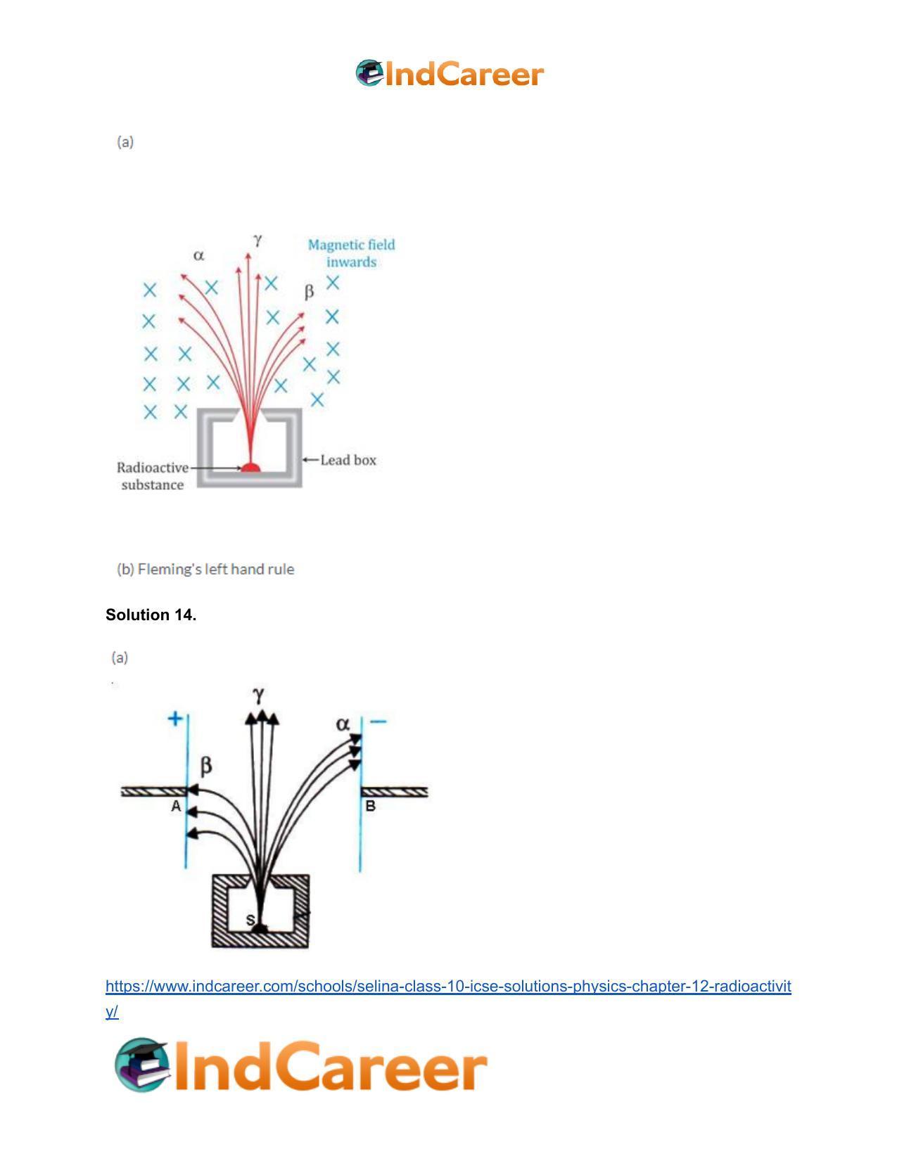 Selina Class 10 ICSE Solutions Physics : Chapter 12- Radioactivity - Page 6