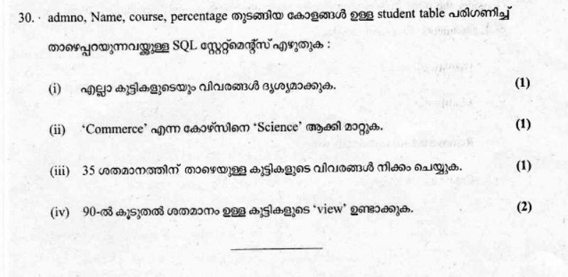  Kerala Plus Two 2019 Computer Application (Commerce) Question Paper - Page 10