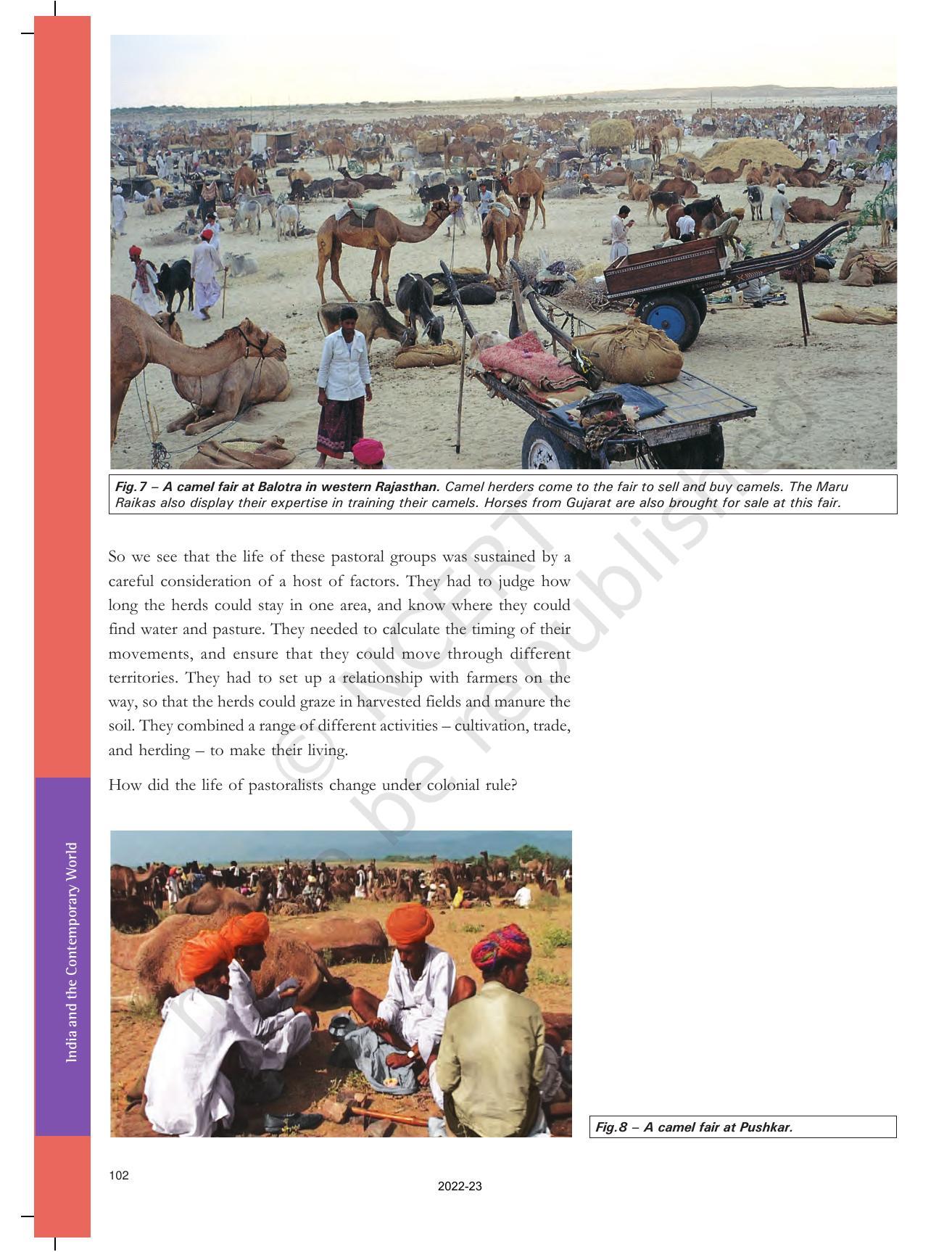 NCERT Book for Class 9 History Chapter 5 Pastoralists in the Modern World - Page 6