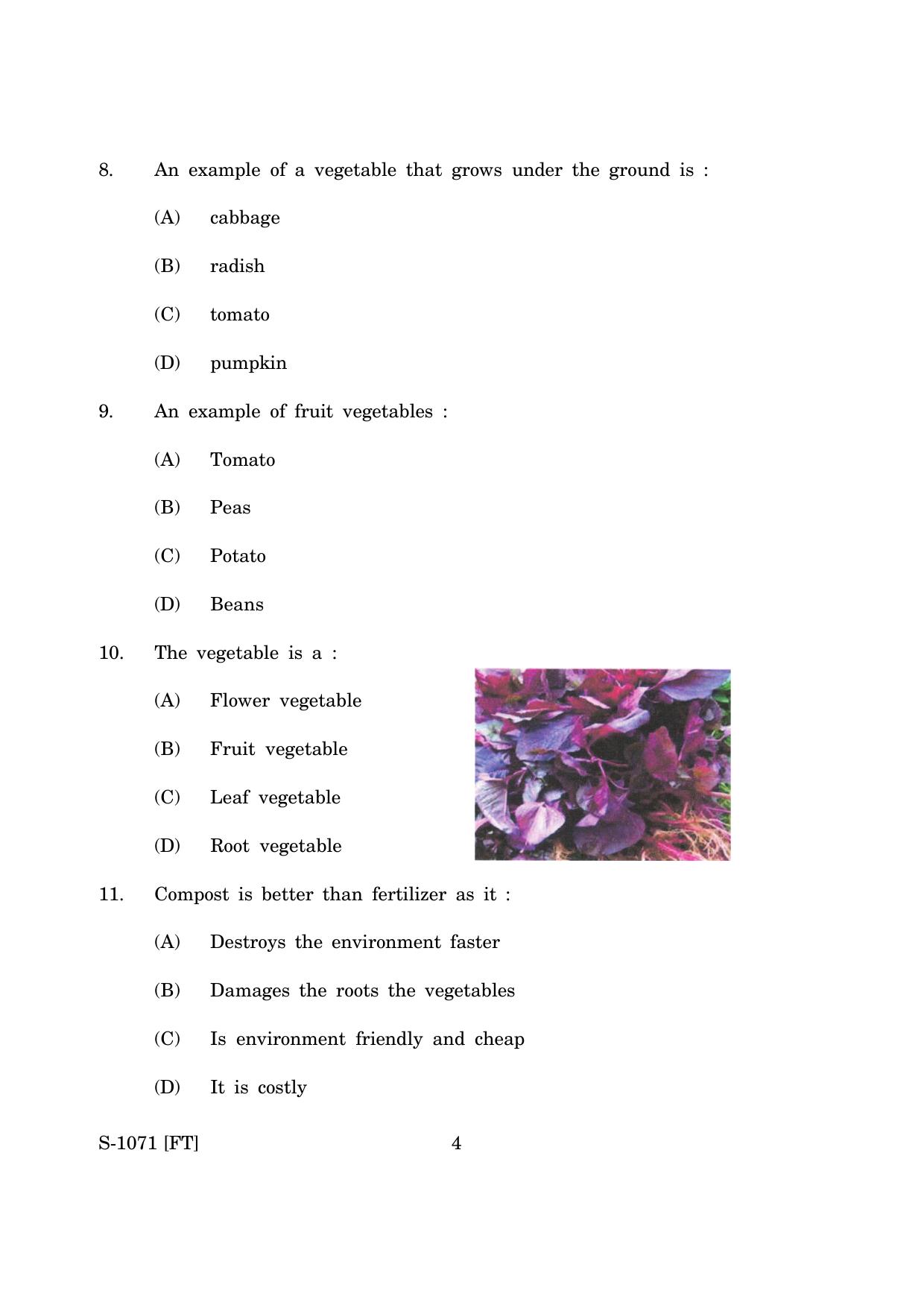 Goa Board Class 10 Home Vegetable Garden (November 2022) Question Paper - Page 4
