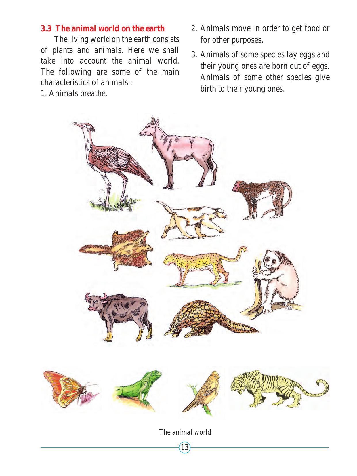Maharashtra Board Class 5 Environmental Studies (Part 2) Textbook - Page 24