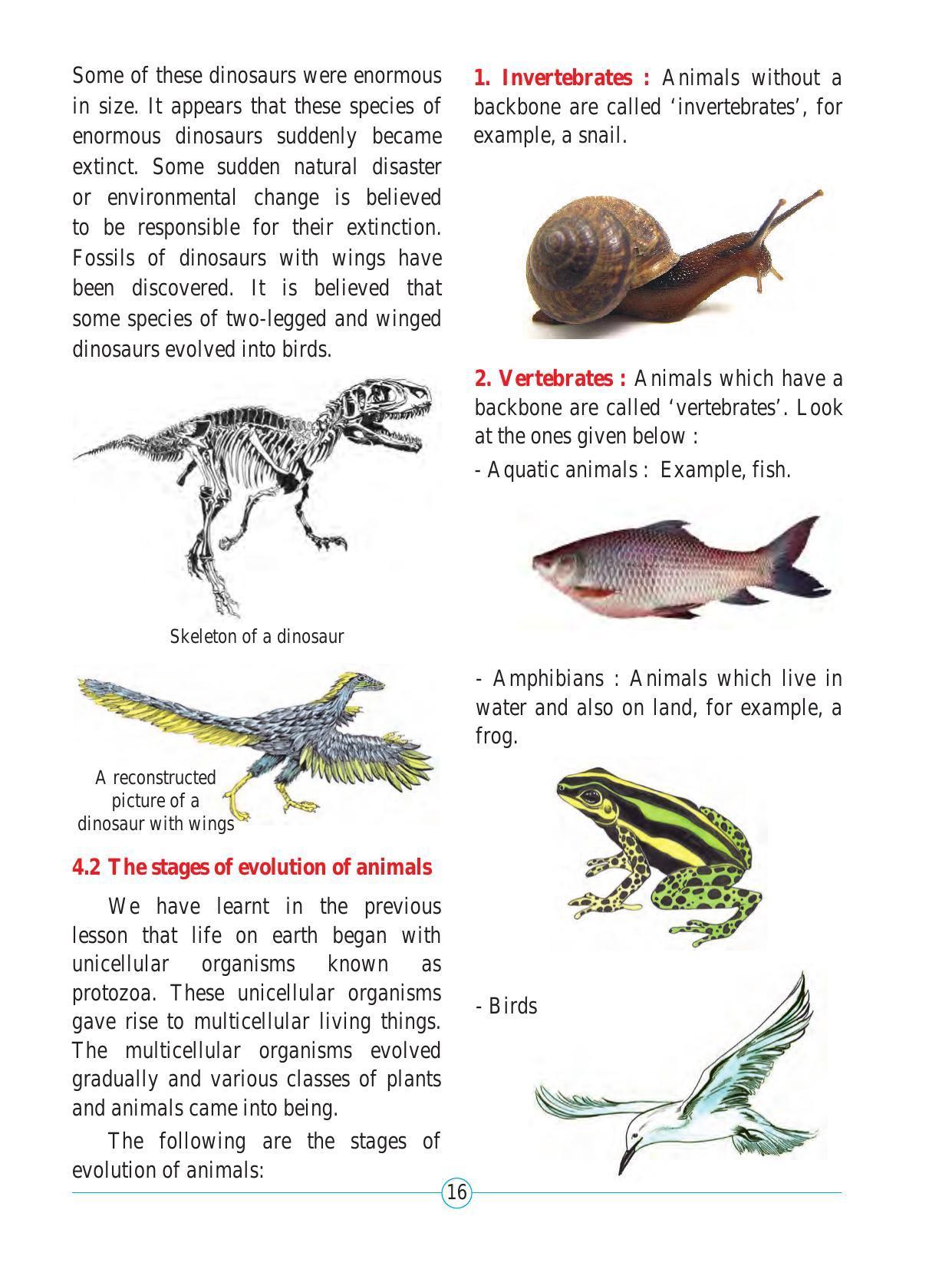 Maharashtra Board Class 5 Environmental Studies (Part 2) Textbook - Page 27