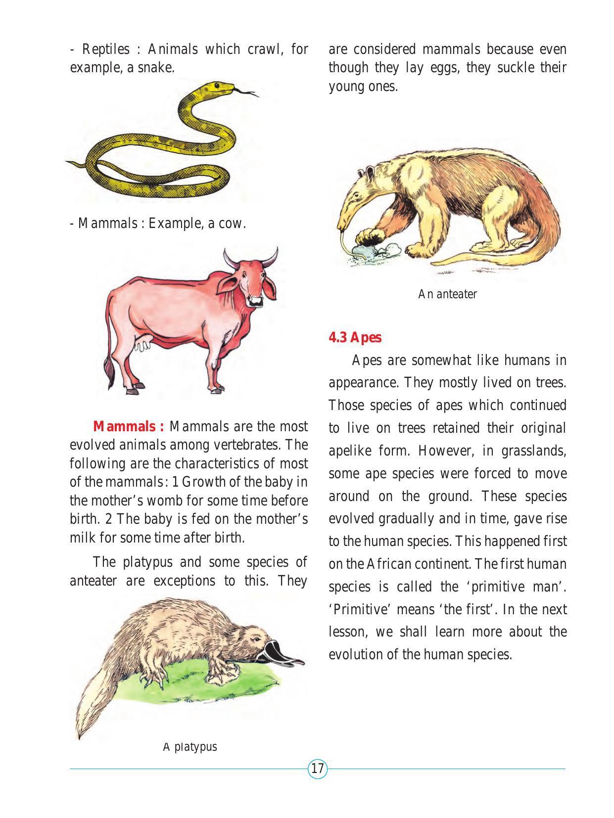 Maharashtra Board Class 5 Environmental Studies (Part 2) Textbook - Page 28
