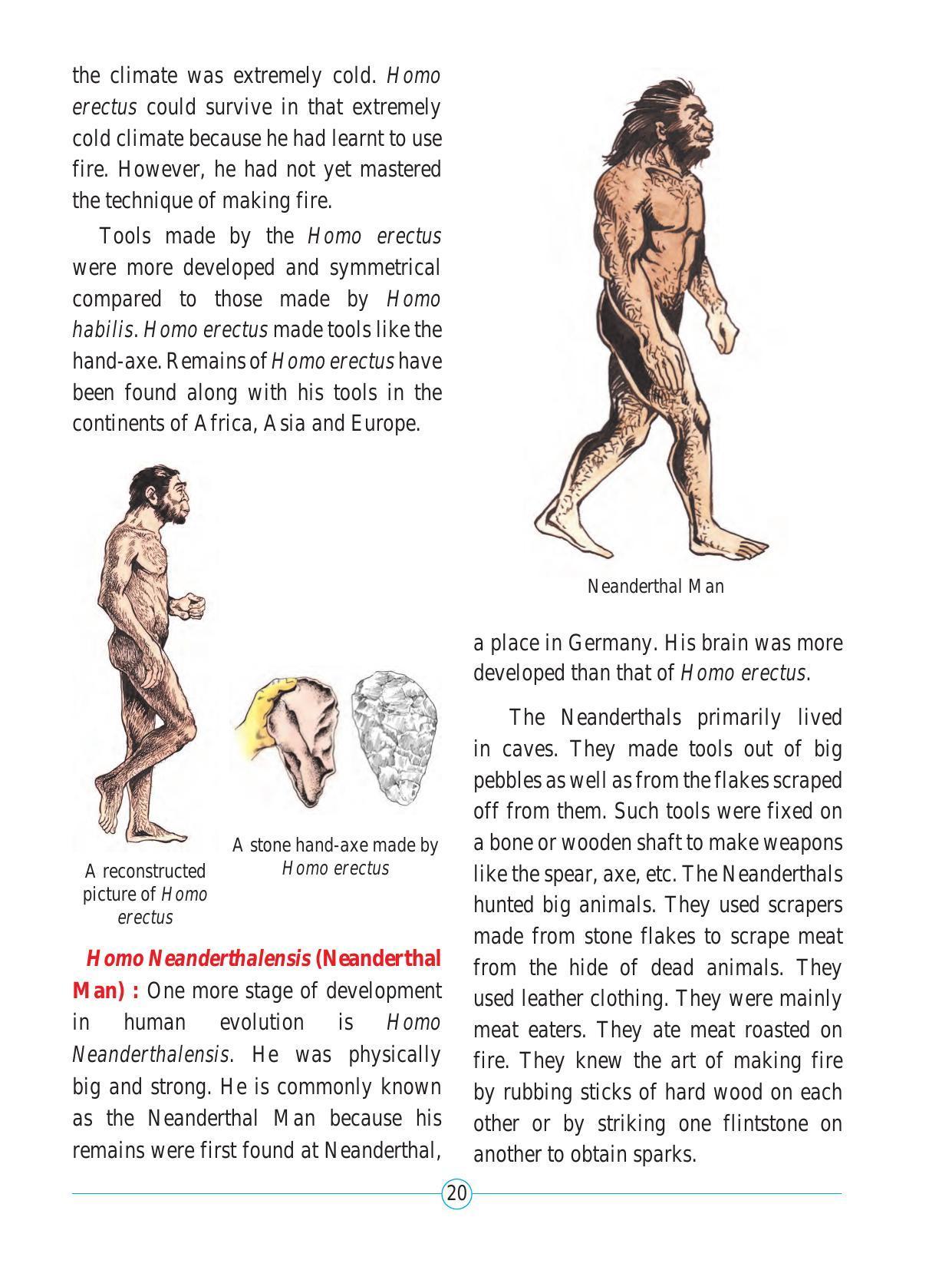Maharashtra Board Class 5 Environmental Studies (Part 2) Textbook - Page 31