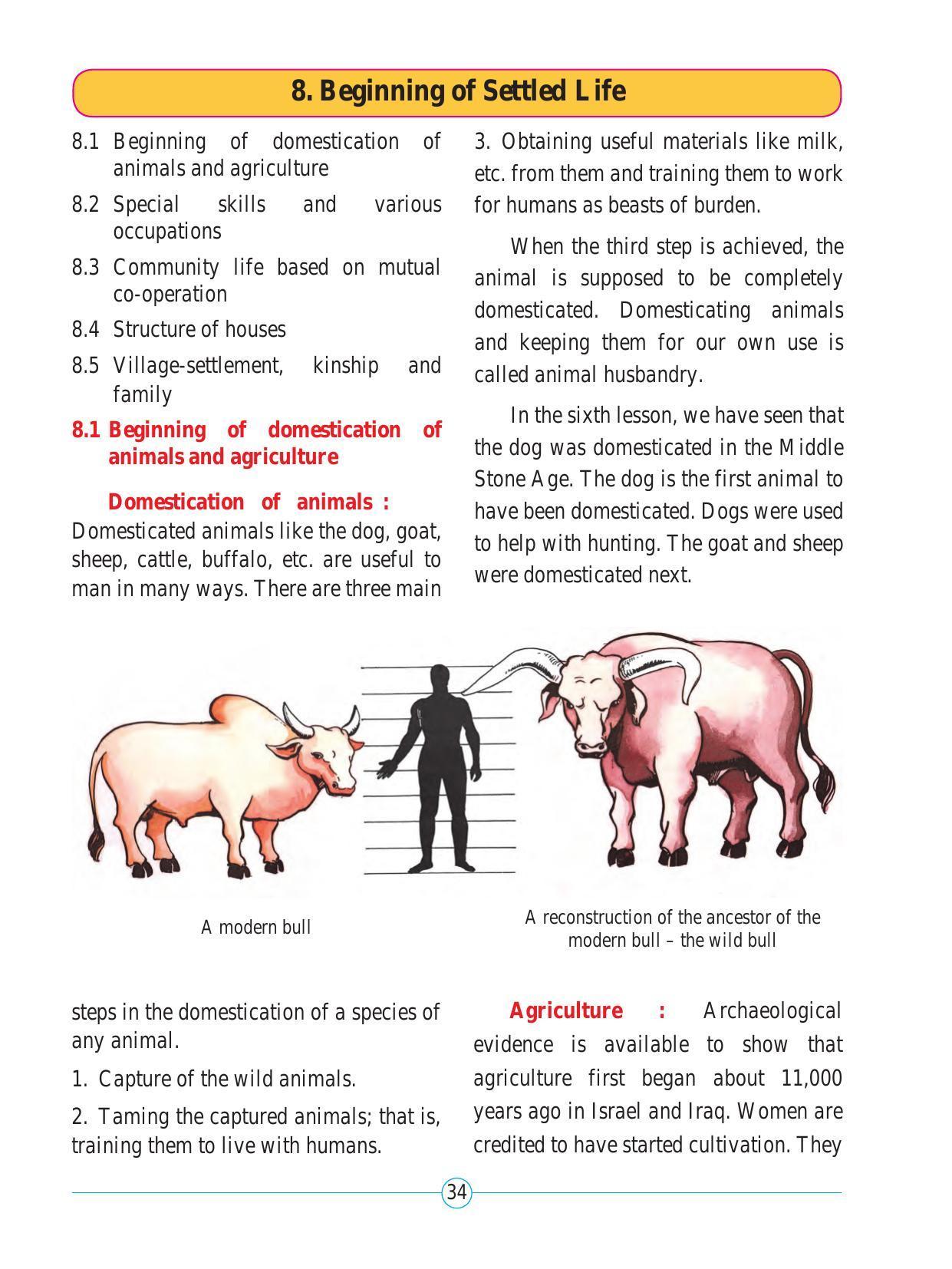 Maharashtra Board Class 5 Environmental Studies (Part 2) Textbook - Page 45