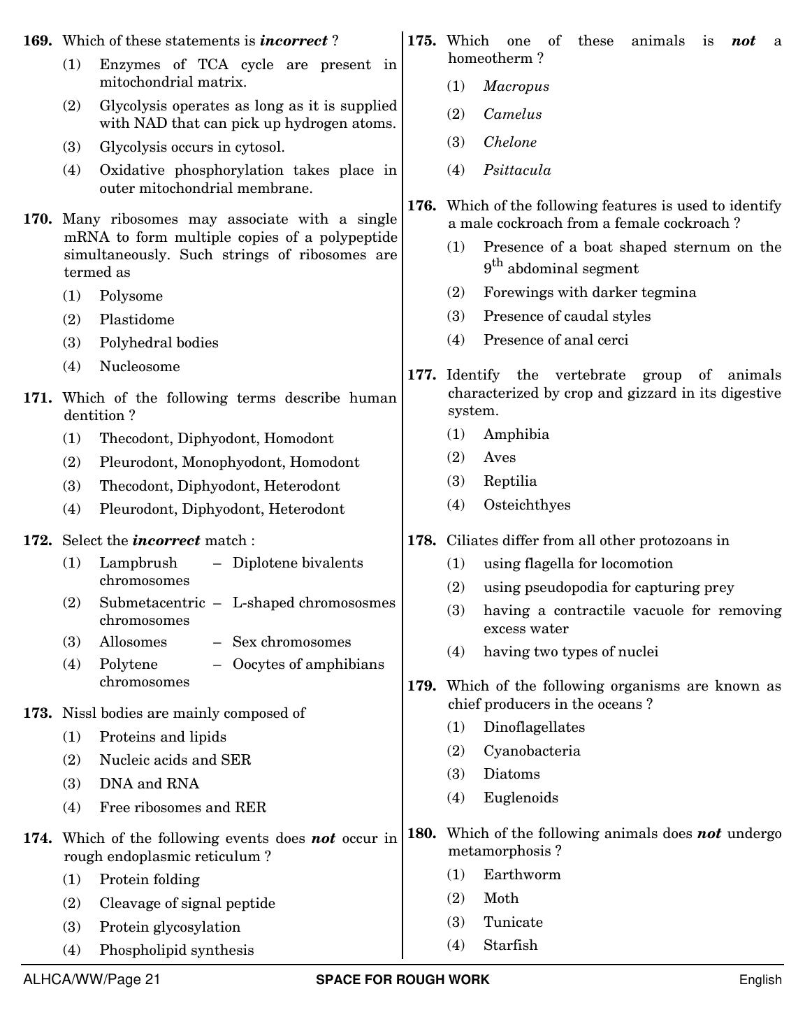 NEET English WW 2019 Question Paper - Page 21