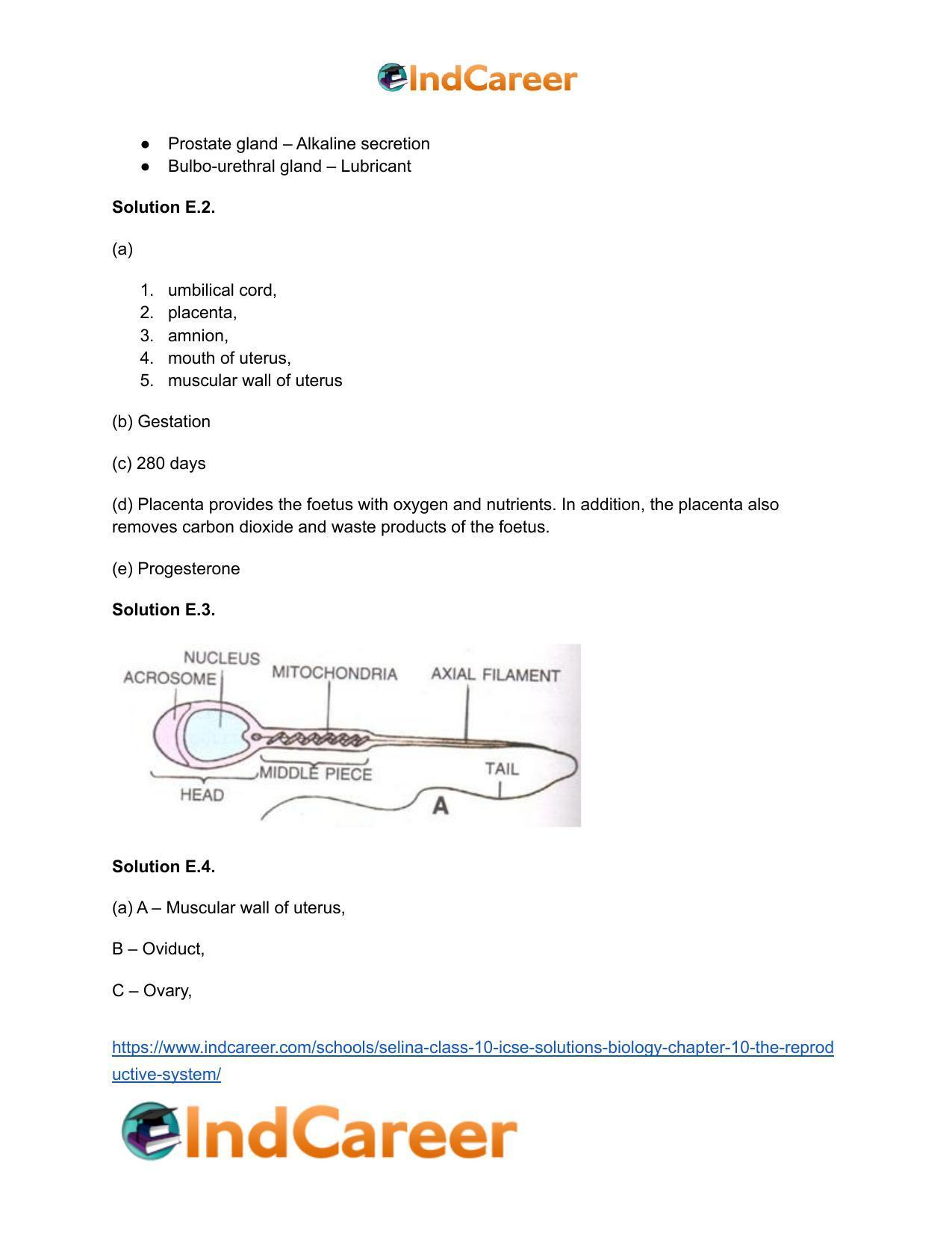 Selina Class 10 ICSE Solutions Biology : Chapter 10- The Reproductive System - Page 14